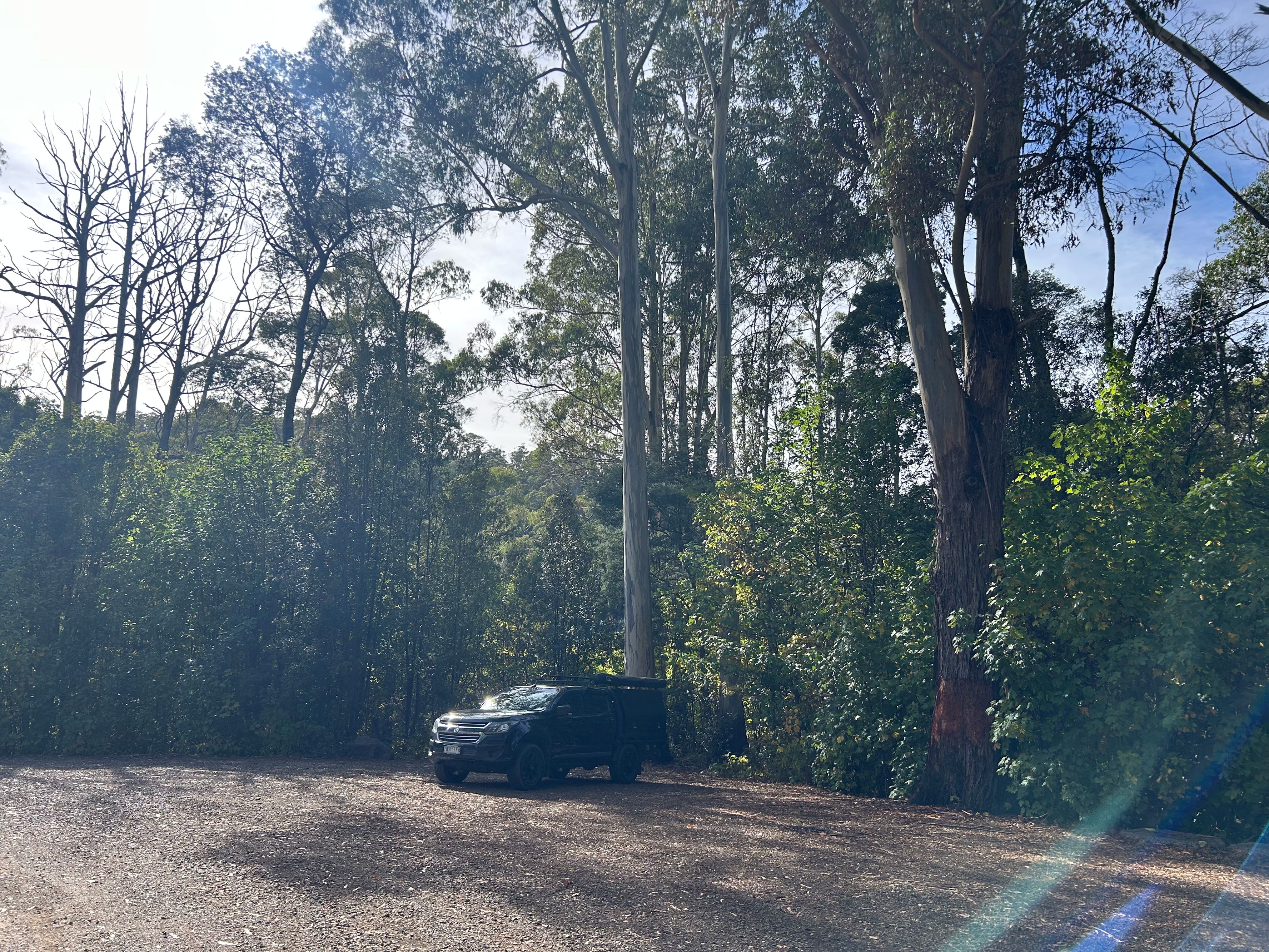 Lake Barrington - Image 3
