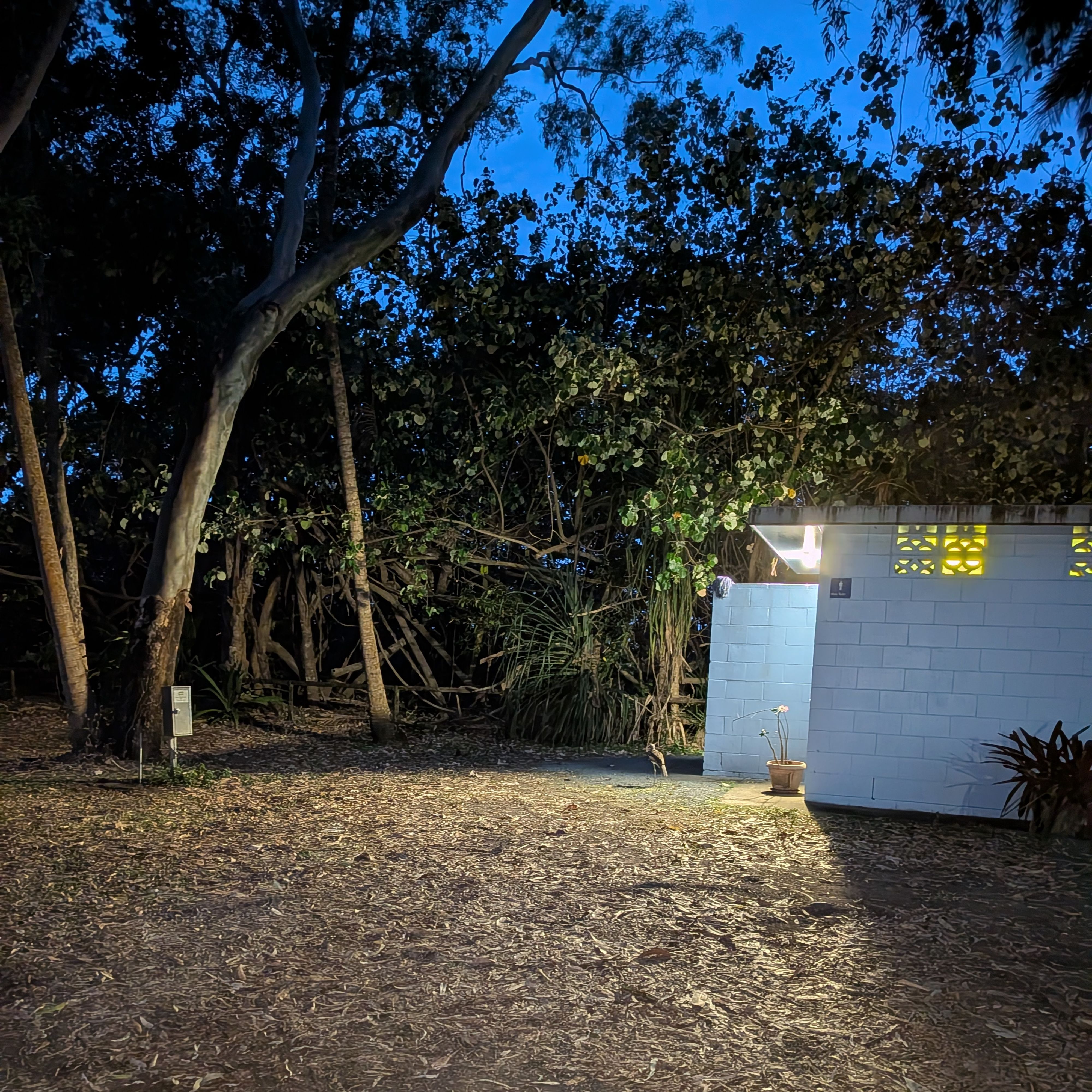 Reisefoto von Ball Bay Campground