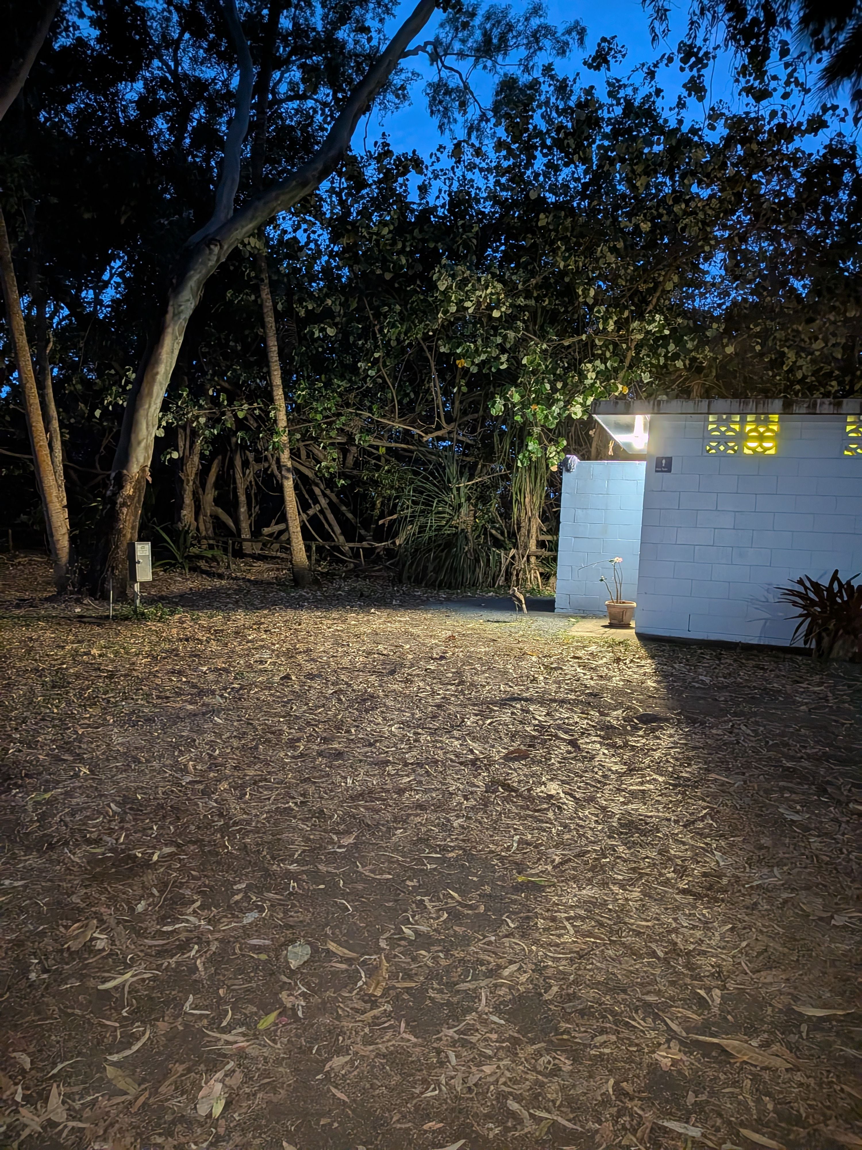 Reisefoto von Ball Bay Campground