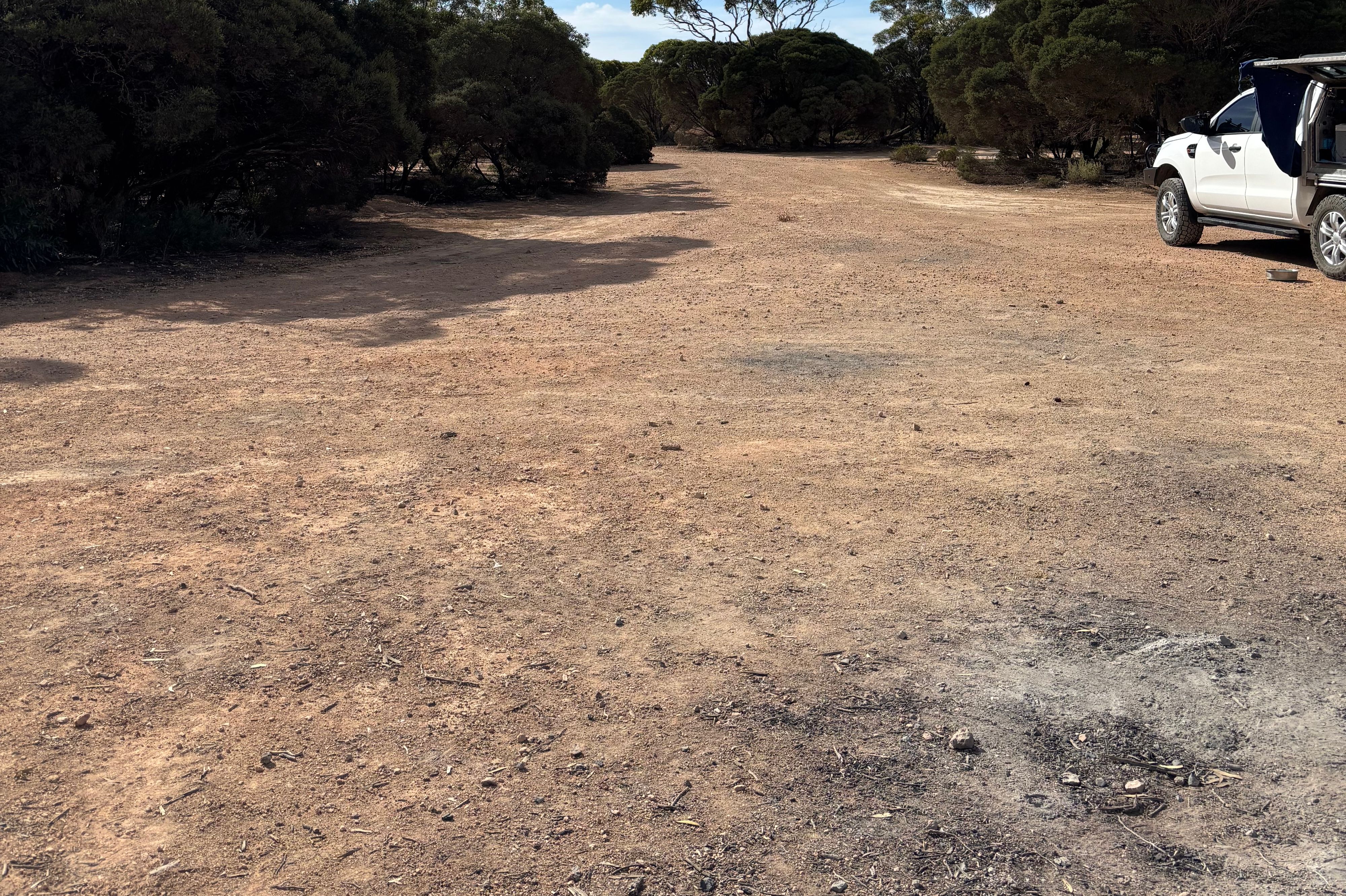 Caiguna East Free Camp - Image 3