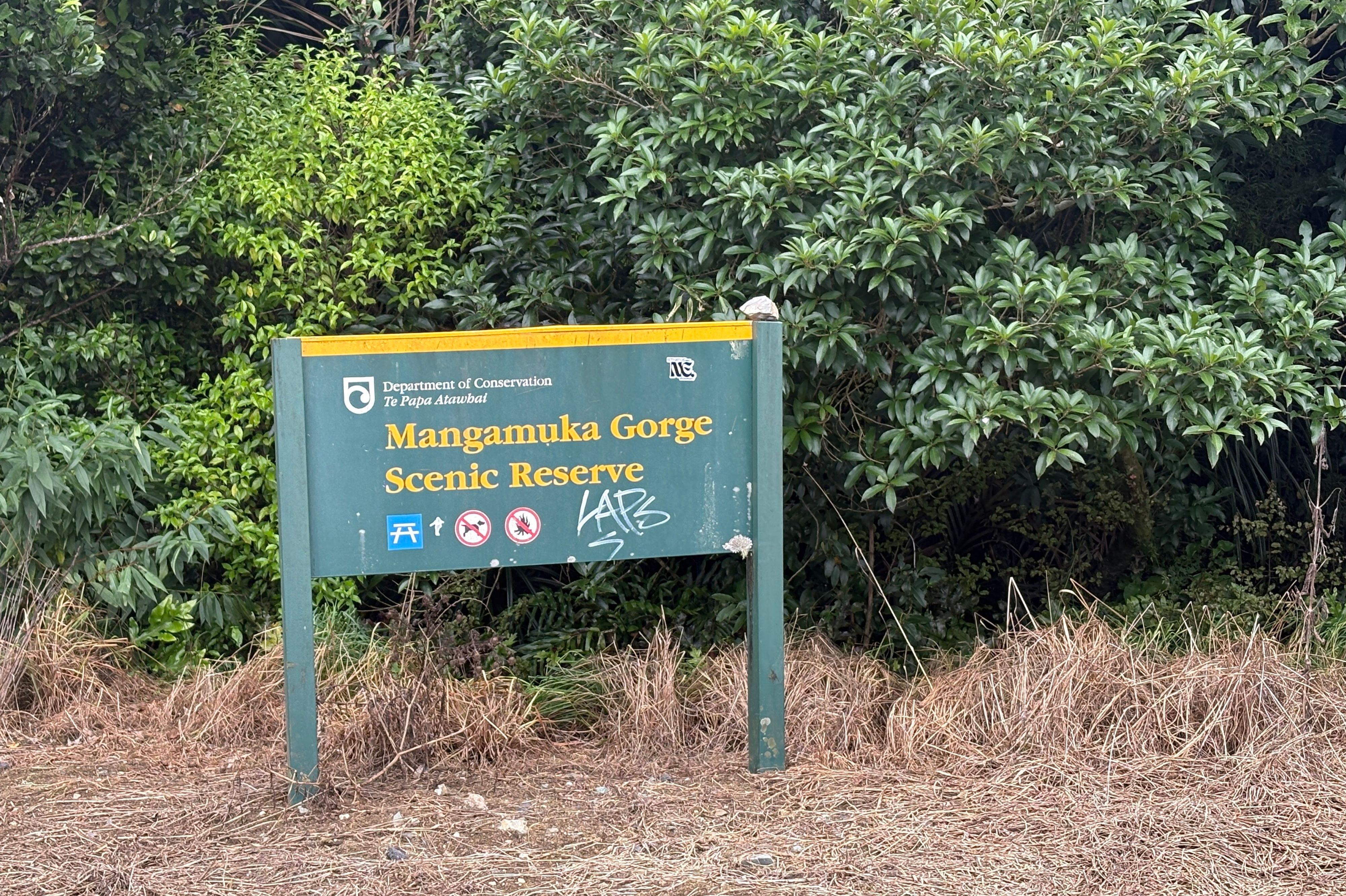 Mangamuka Scenic Reserve nähtävyydet - Image 2