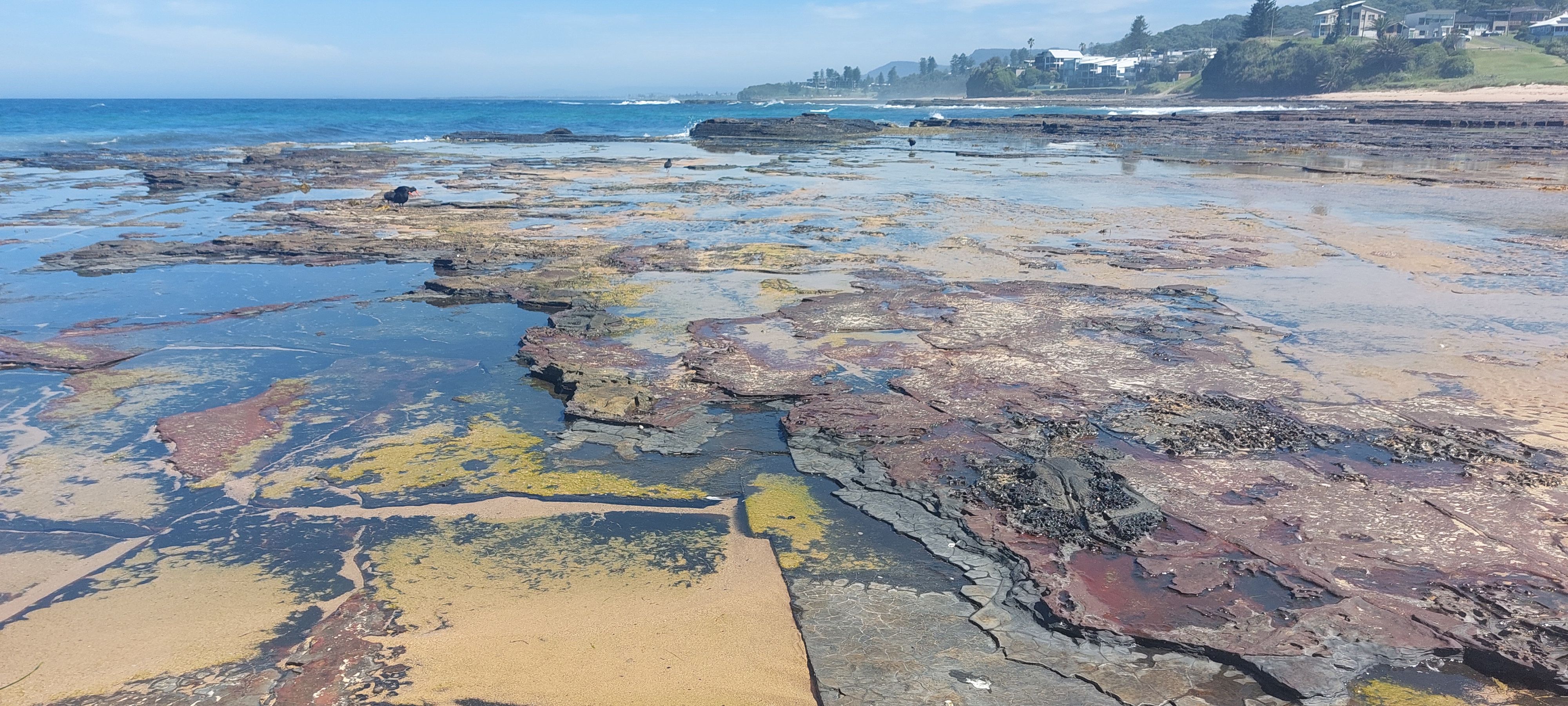 Coledale Beach Camping Reserve - Image 3