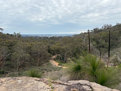Thông tin Whilstepipe Gully Trail