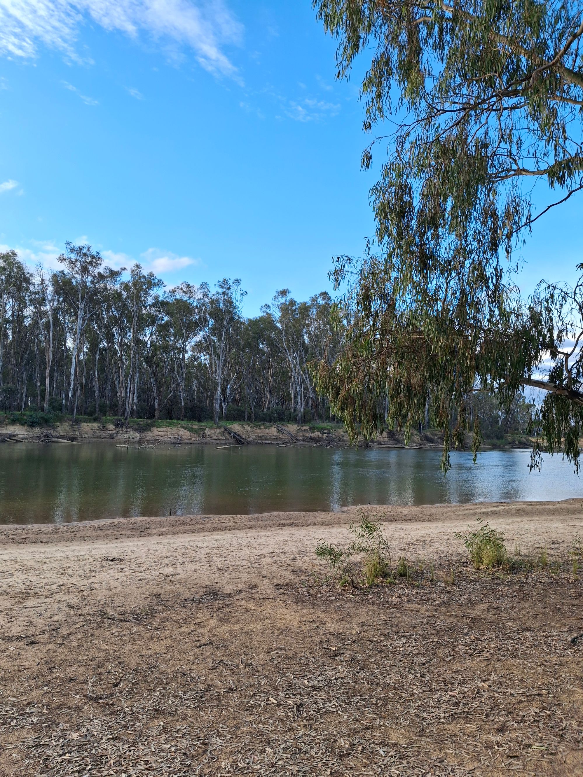Town Beach - Image 3