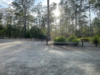 Bodalla Park Forest Rest Area photo 2