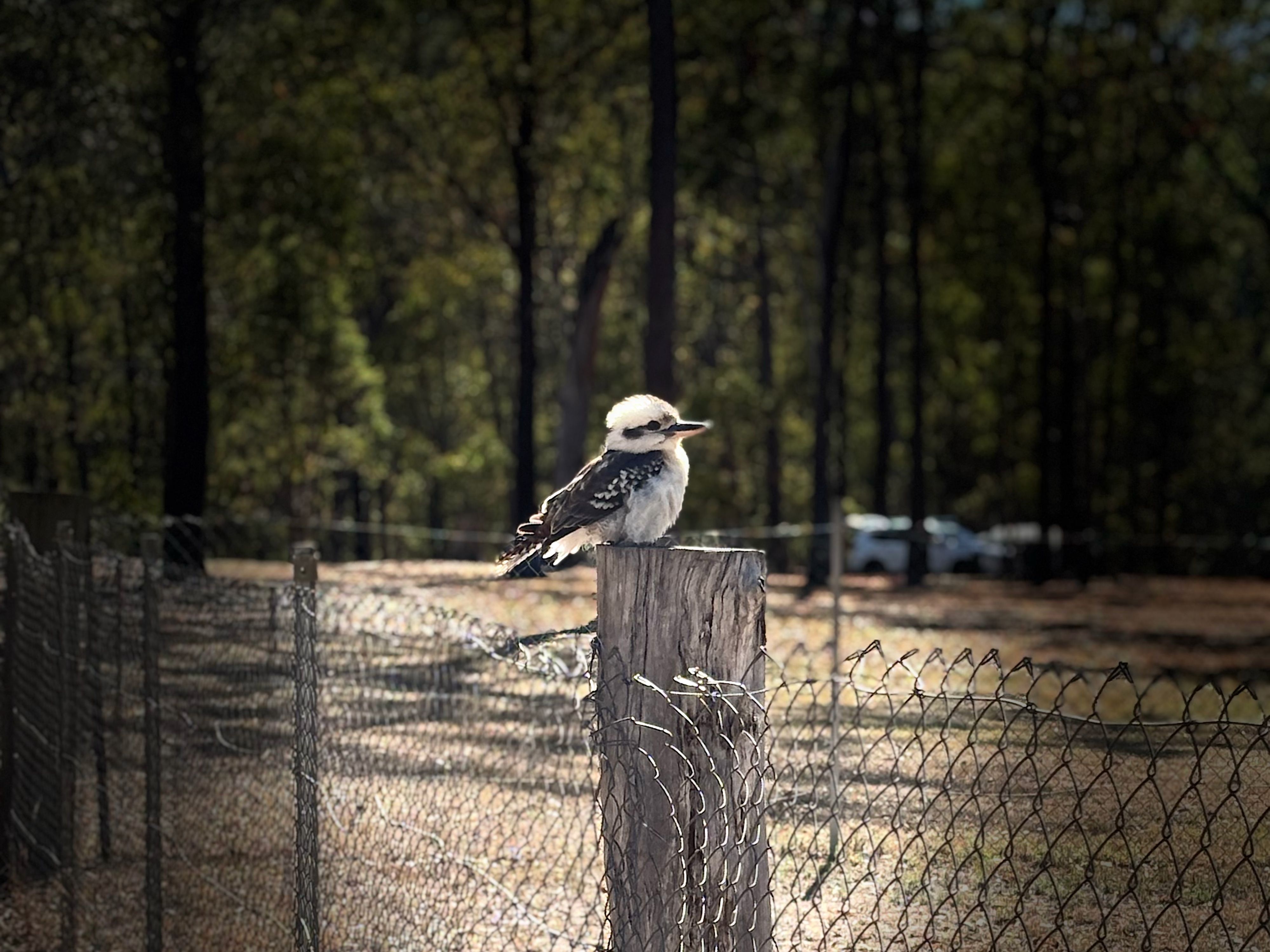 Reisefoto von Murphys Creek Escape