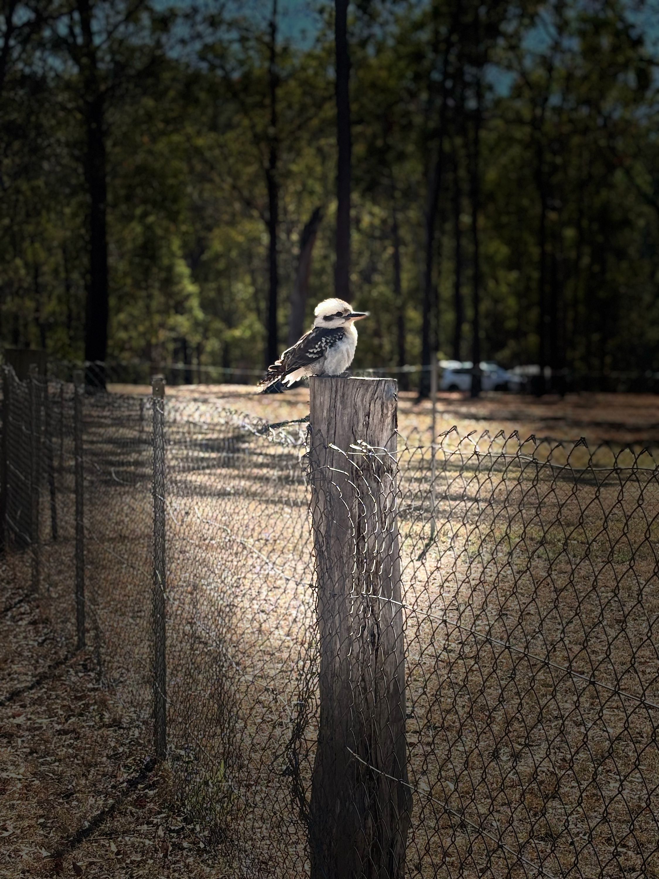 Reisefoto von Murphys Creek Escape