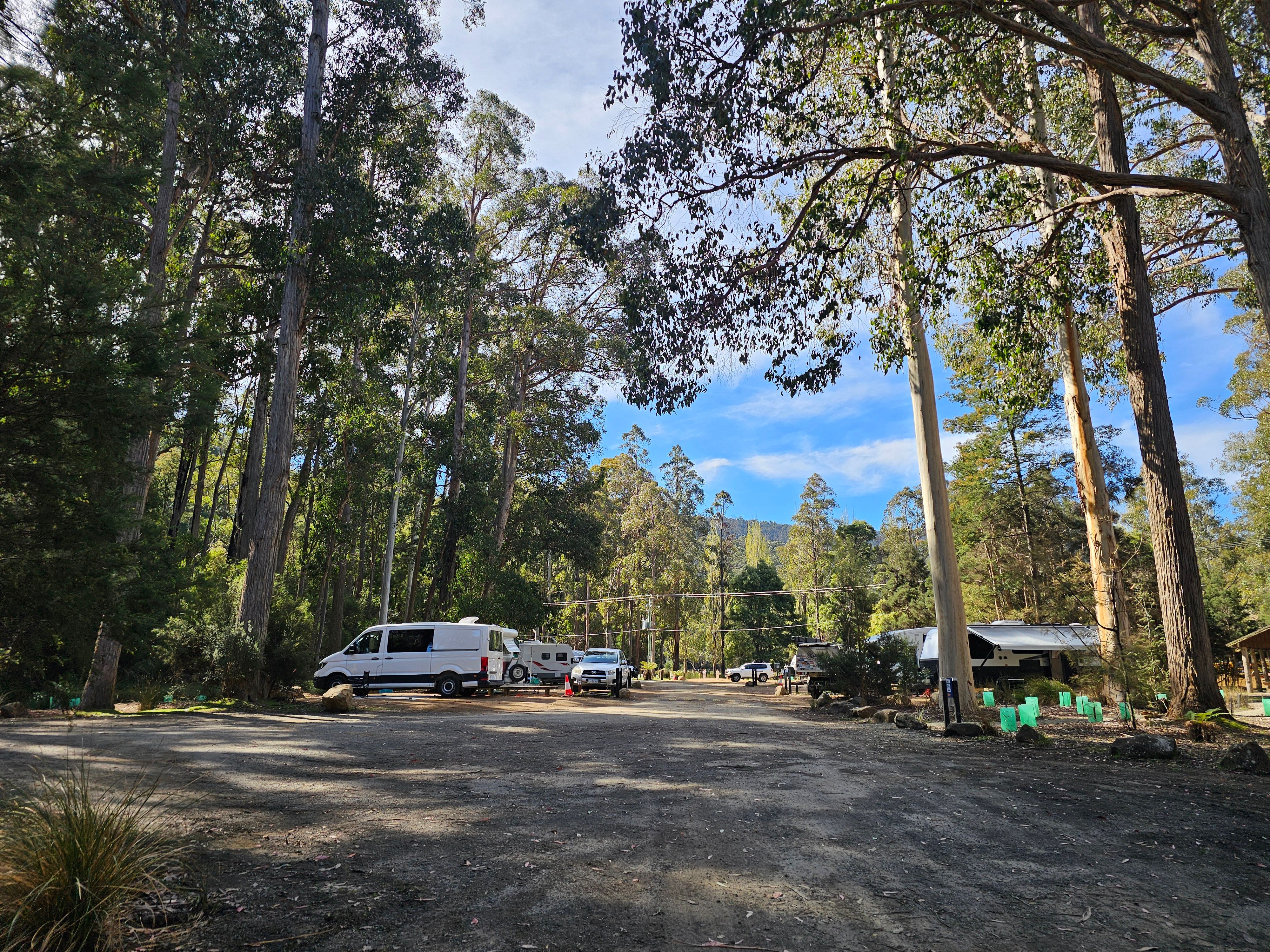 Reisende foto av Mount Field Campground