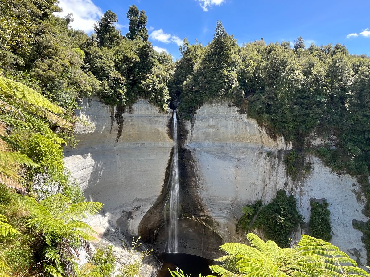 Mount Damper Falls