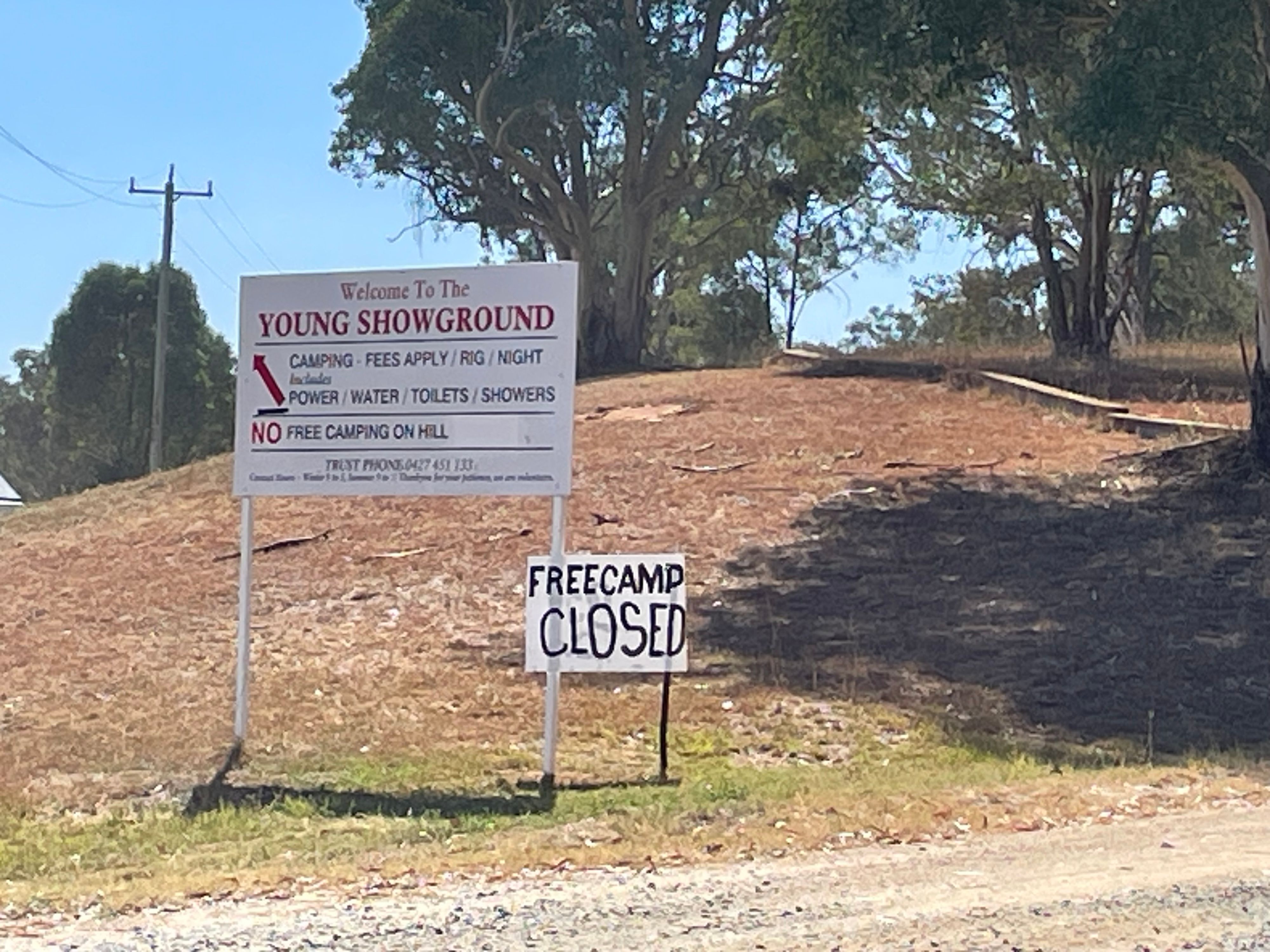 Young Showground - Image 2