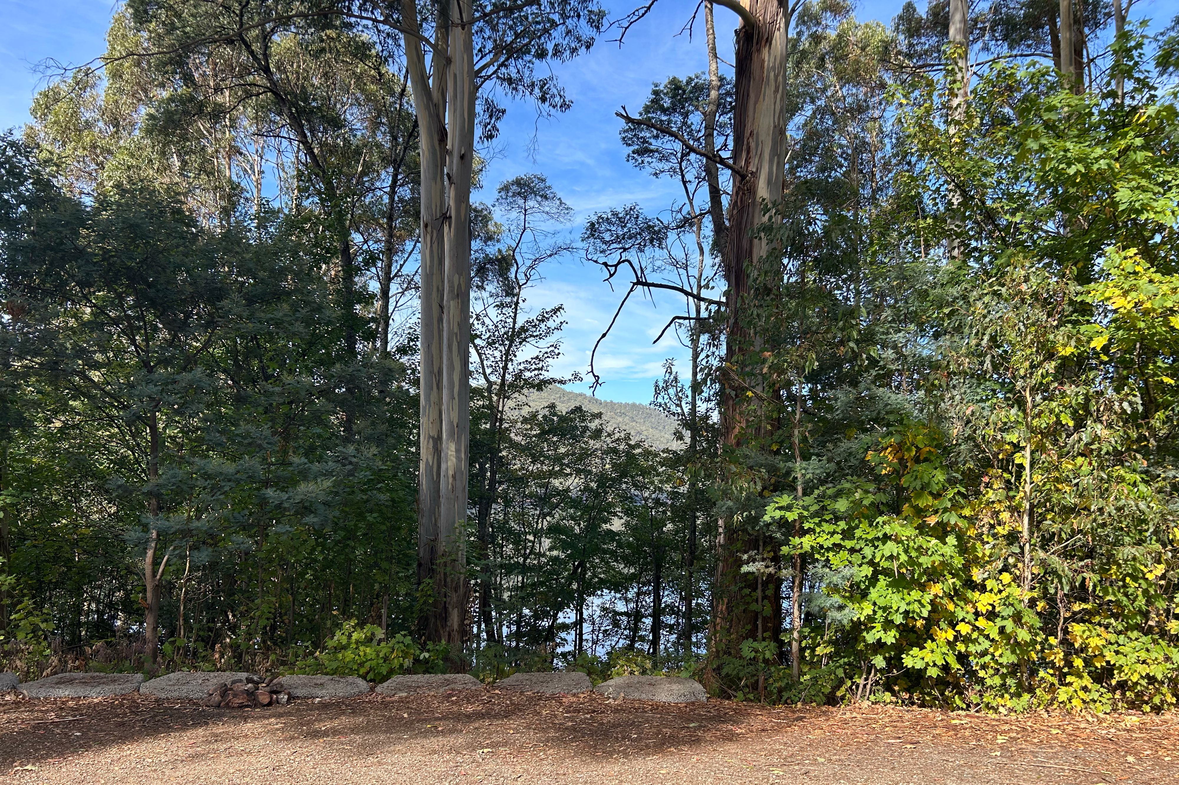 Lake Barrington - Image 2