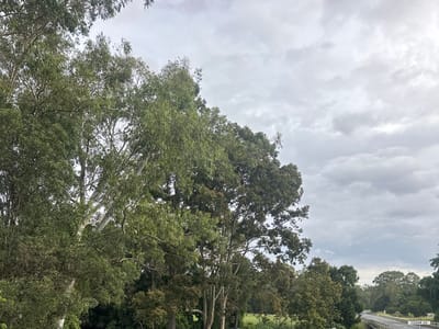 Rodborough Park