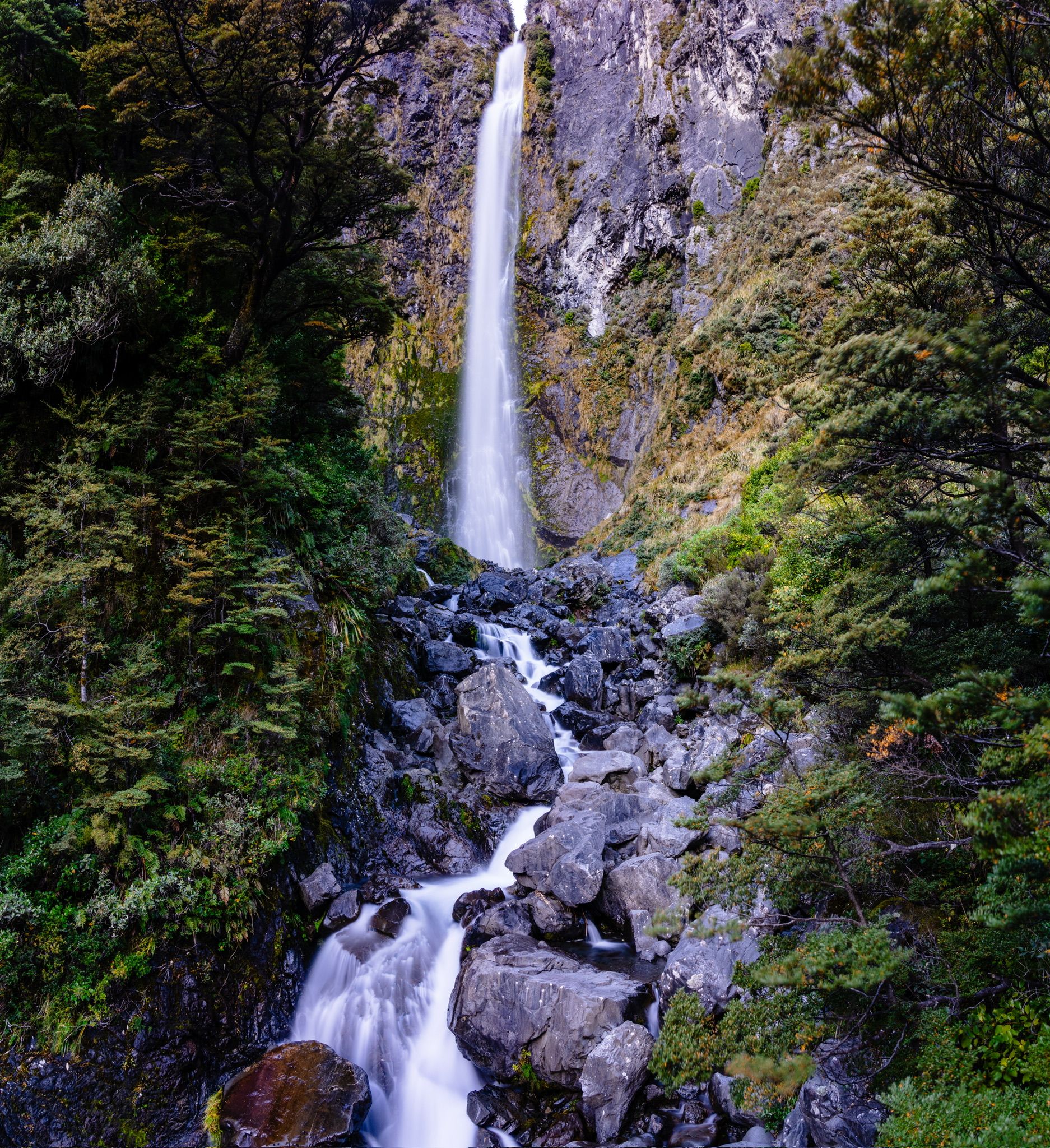 Devils Punchbowl Falls Track - Image 2