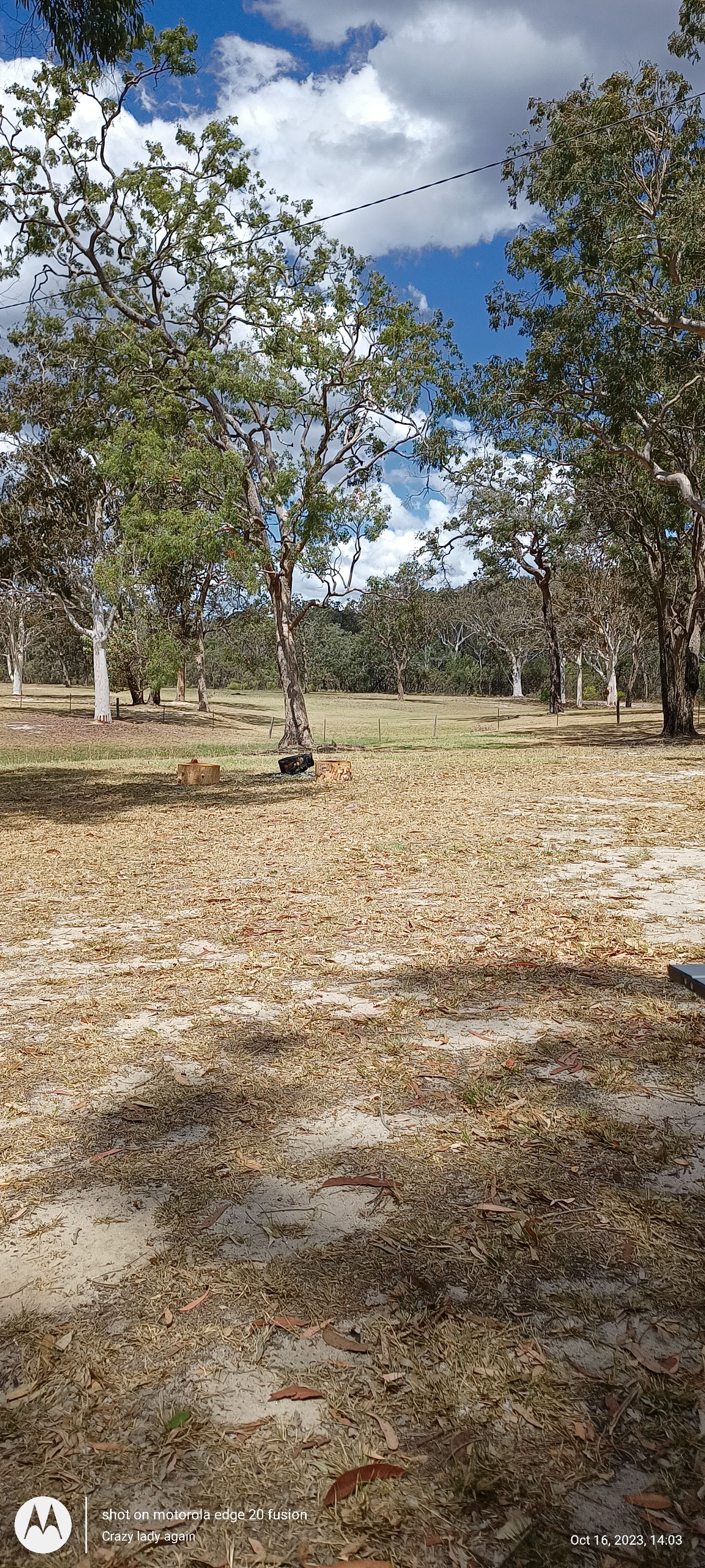 Cà phê Grey Gum - Image 2