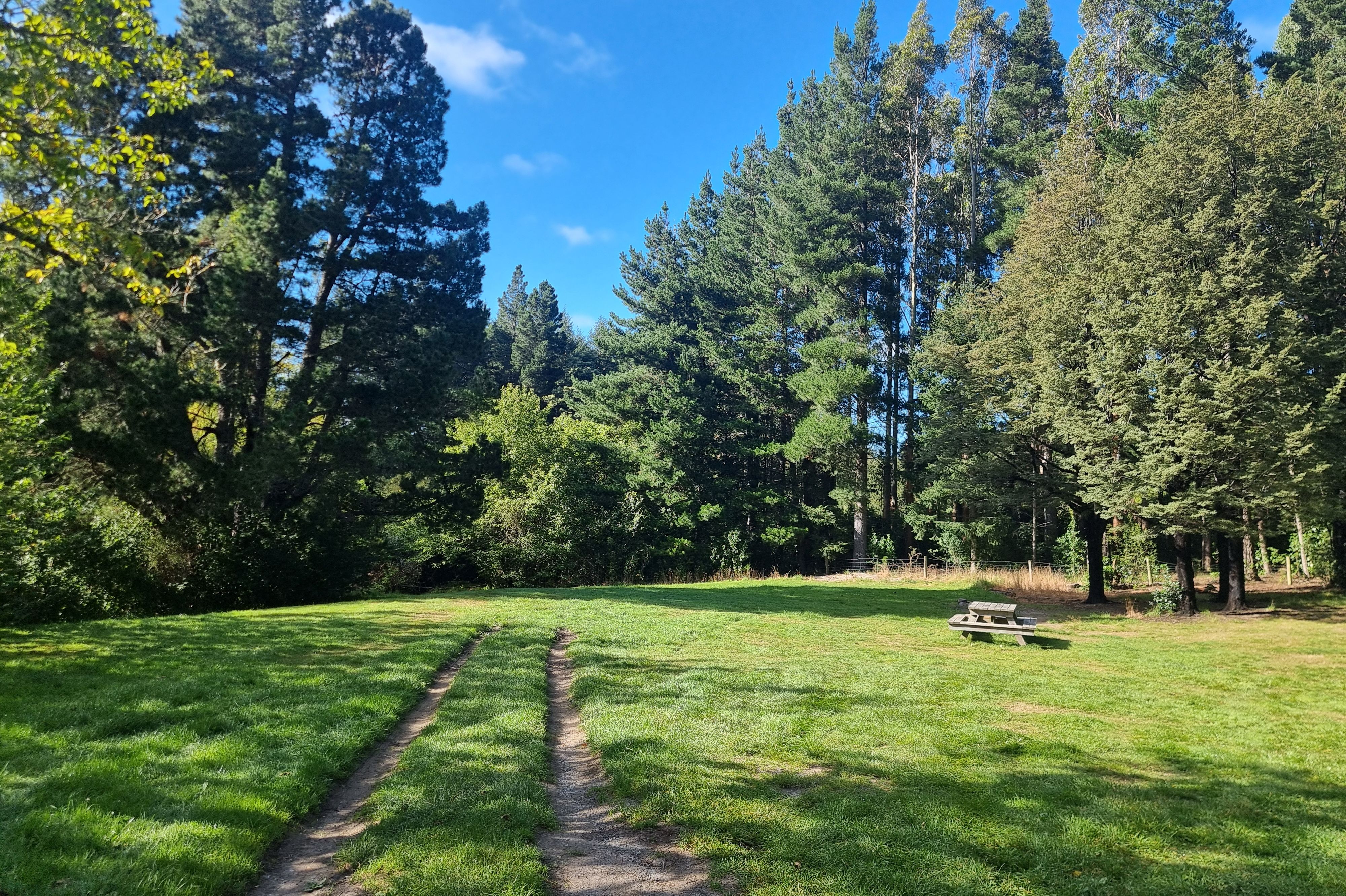 Campamento de Wooded Gully - Image 3
