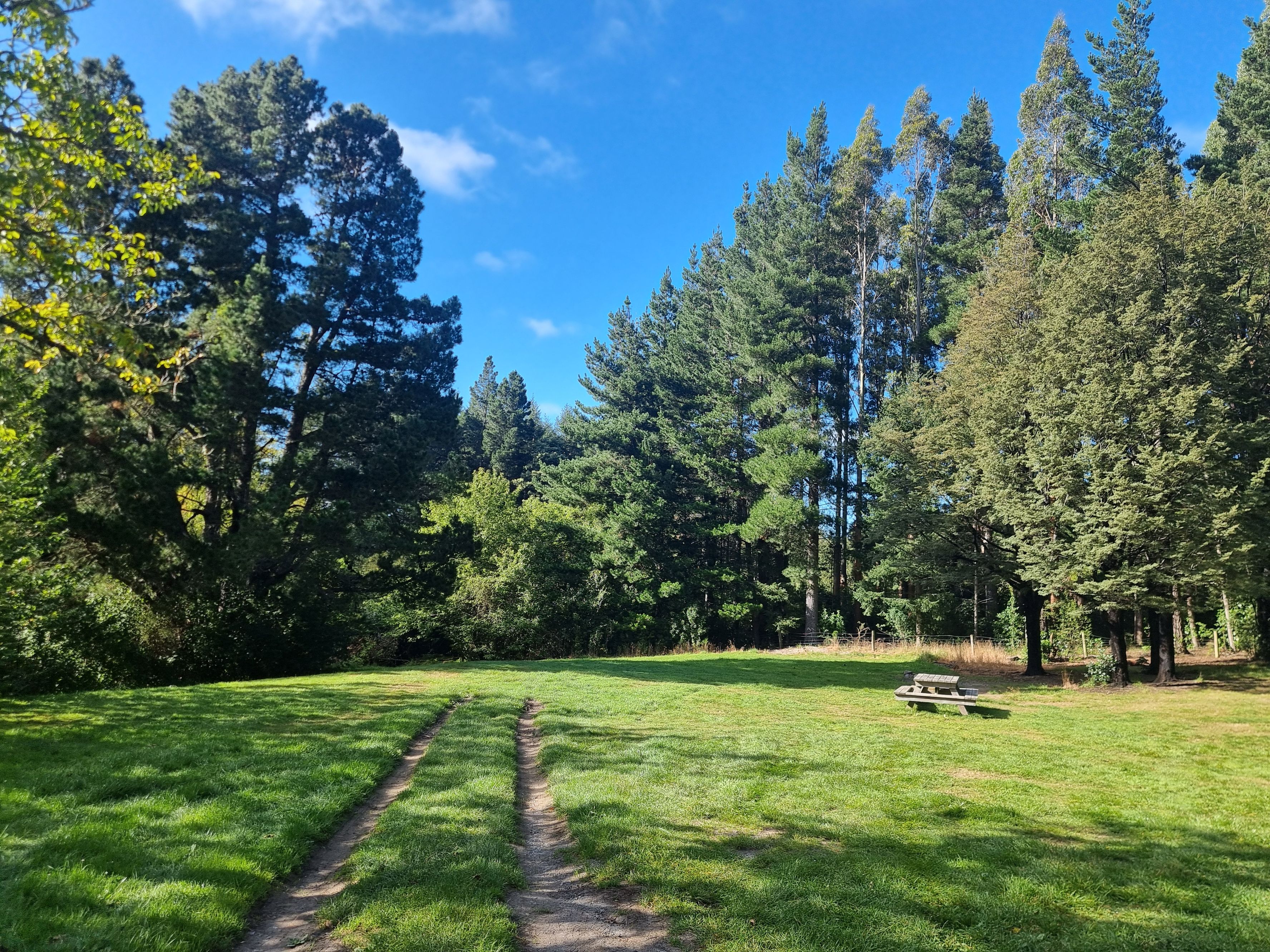 Wooded Gully Campsite - Image 3
