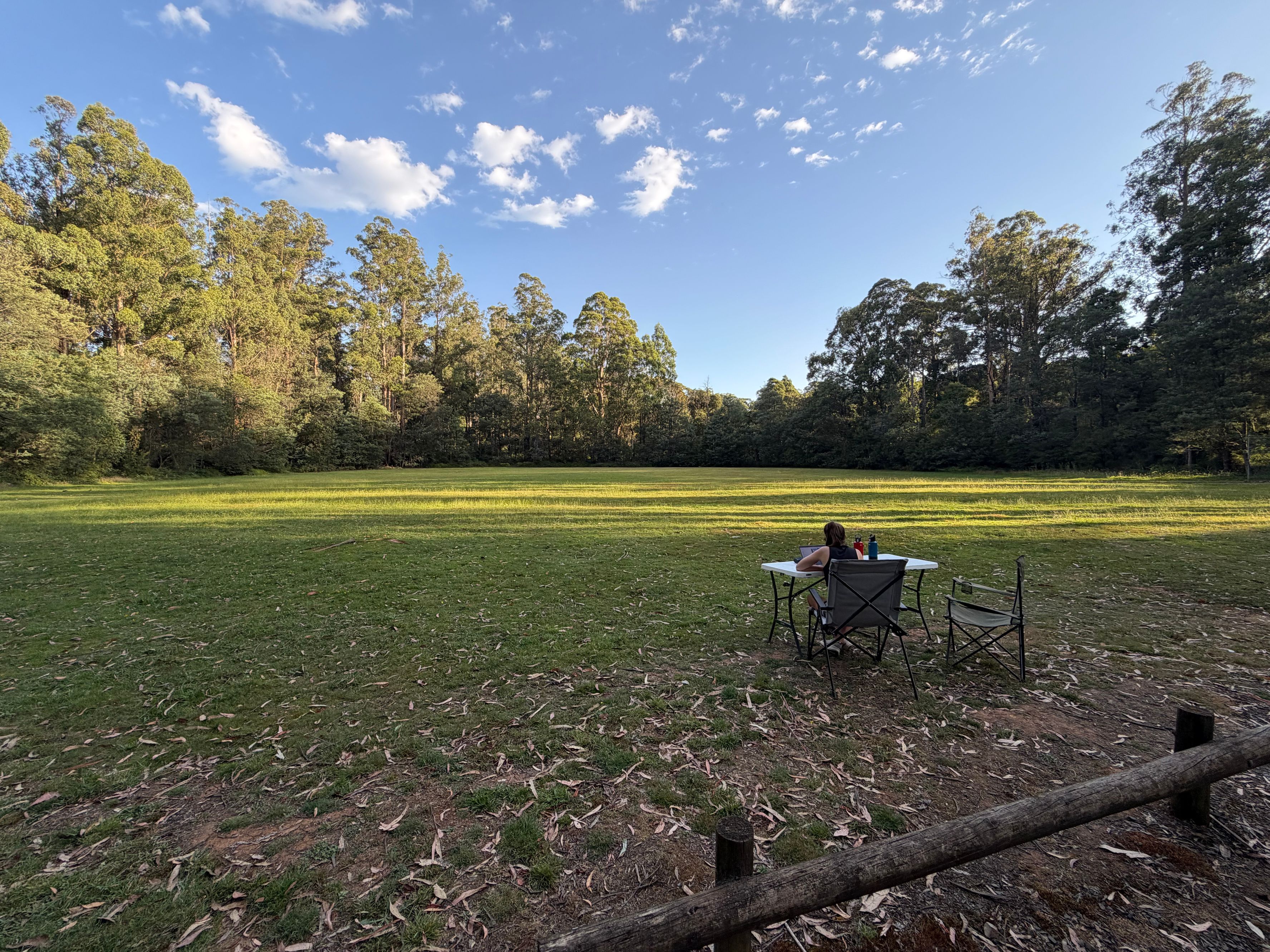 Toolangi Recreational Reserve - Image 3