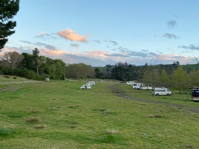 Whakaipo Bay Freedom Camping Area