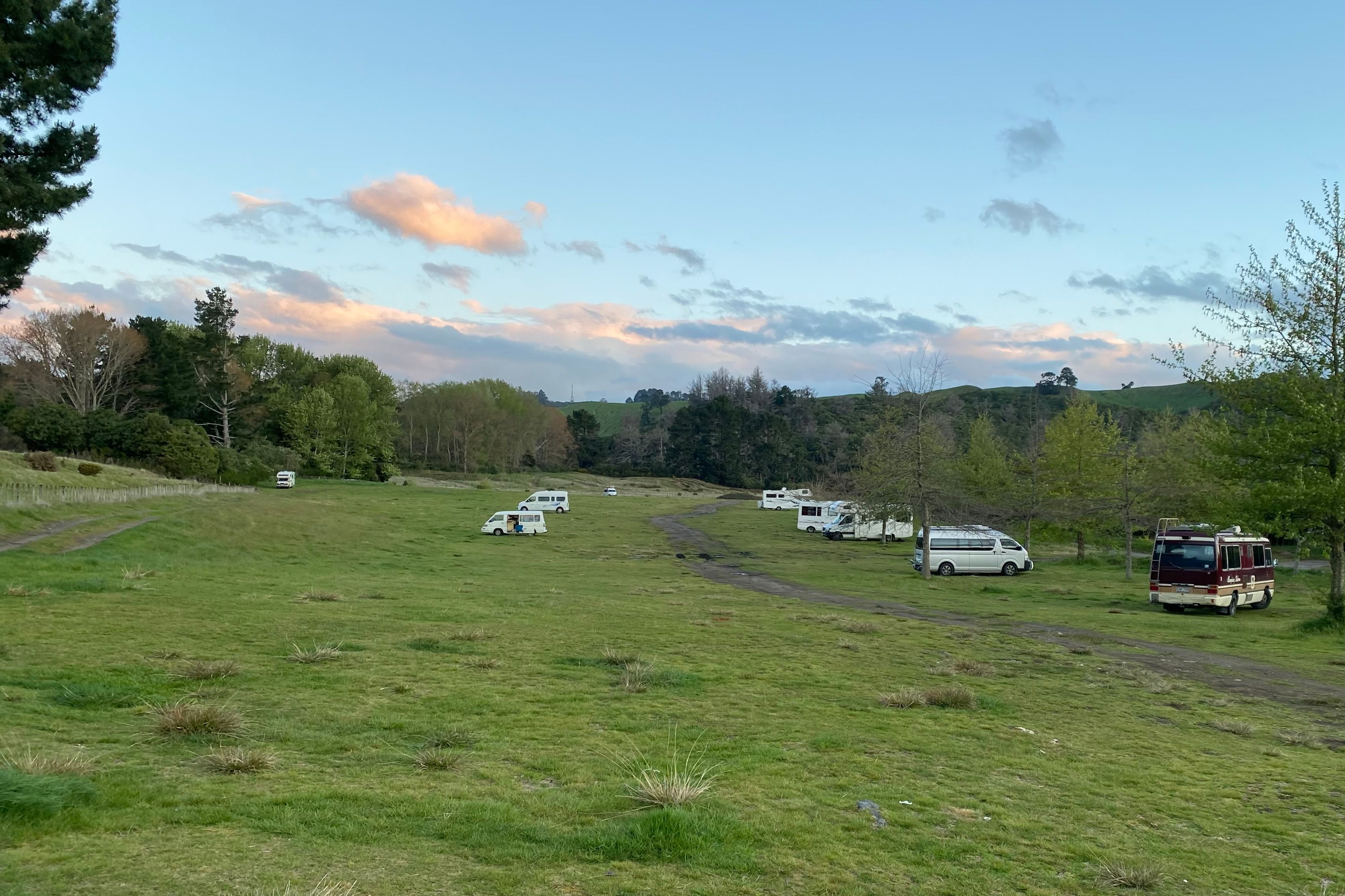Whakaipo Bay Freedom Camping Area