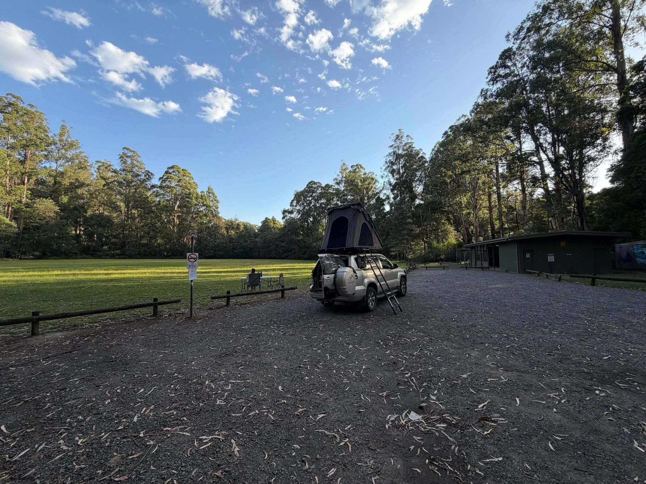 Toolangi Recreational Reserve