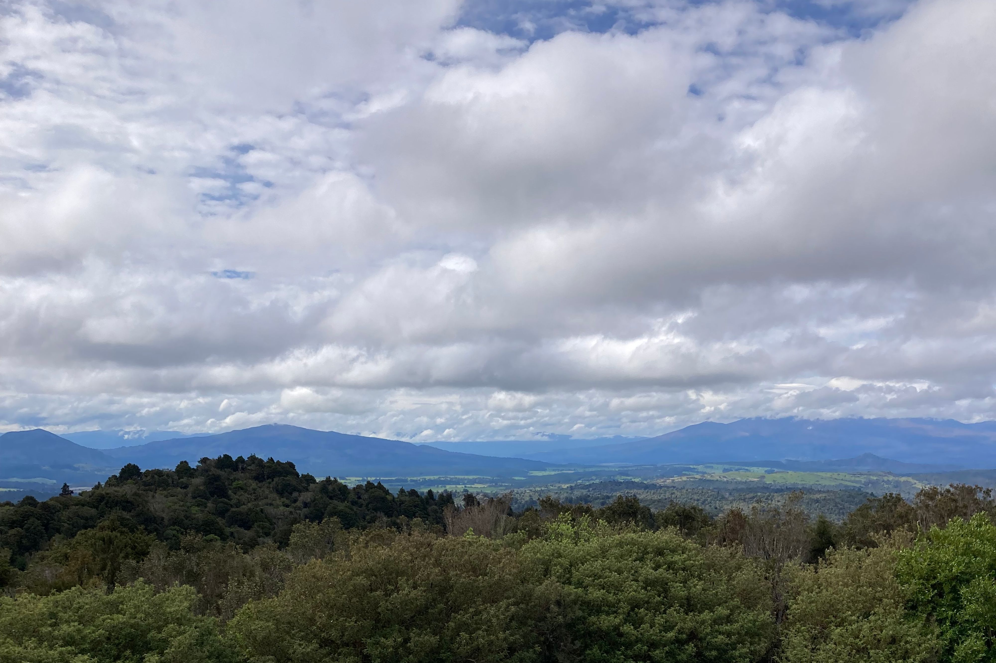 Waituhi Viewpoint - Image 2