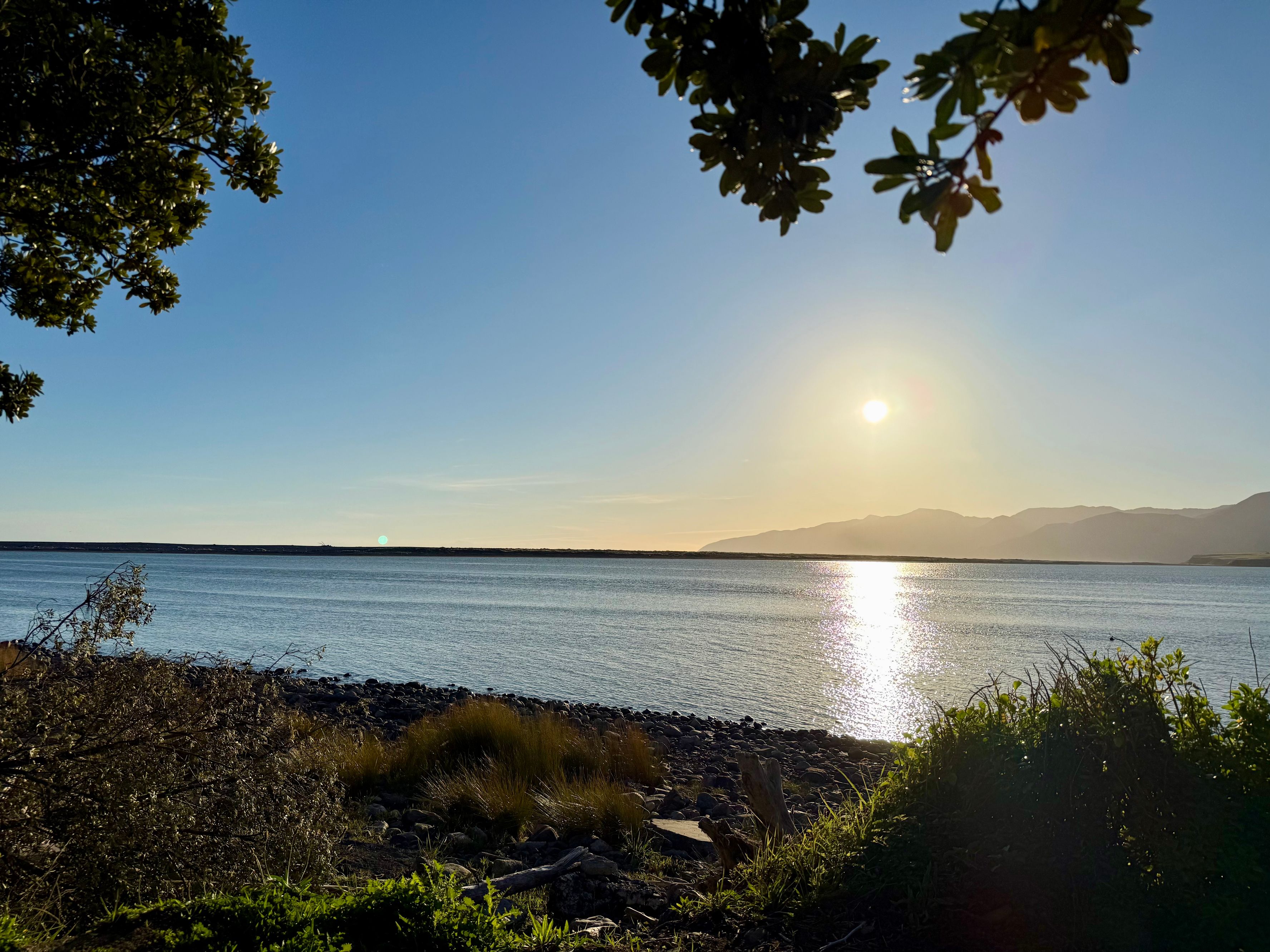Lake Ferry Holiday Park - Image 3