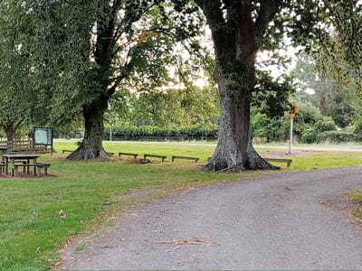 Pohangina Recreational Reserve (The Domain)