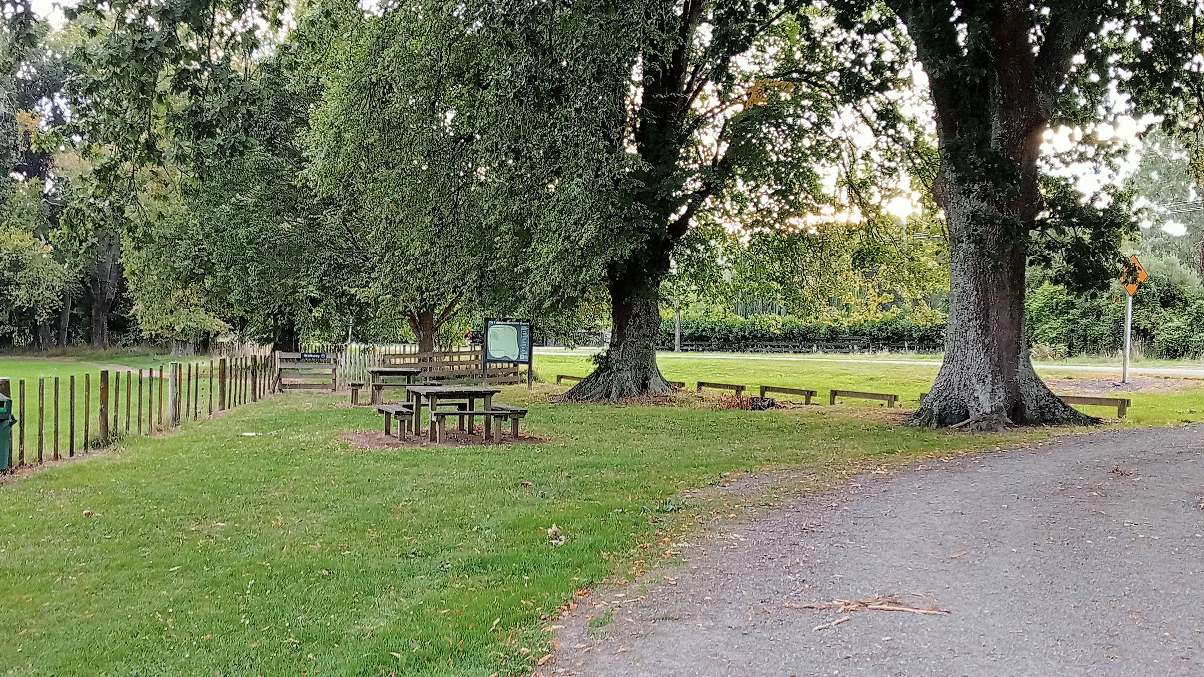 Pohangina Recreational Reserve (The Domain)