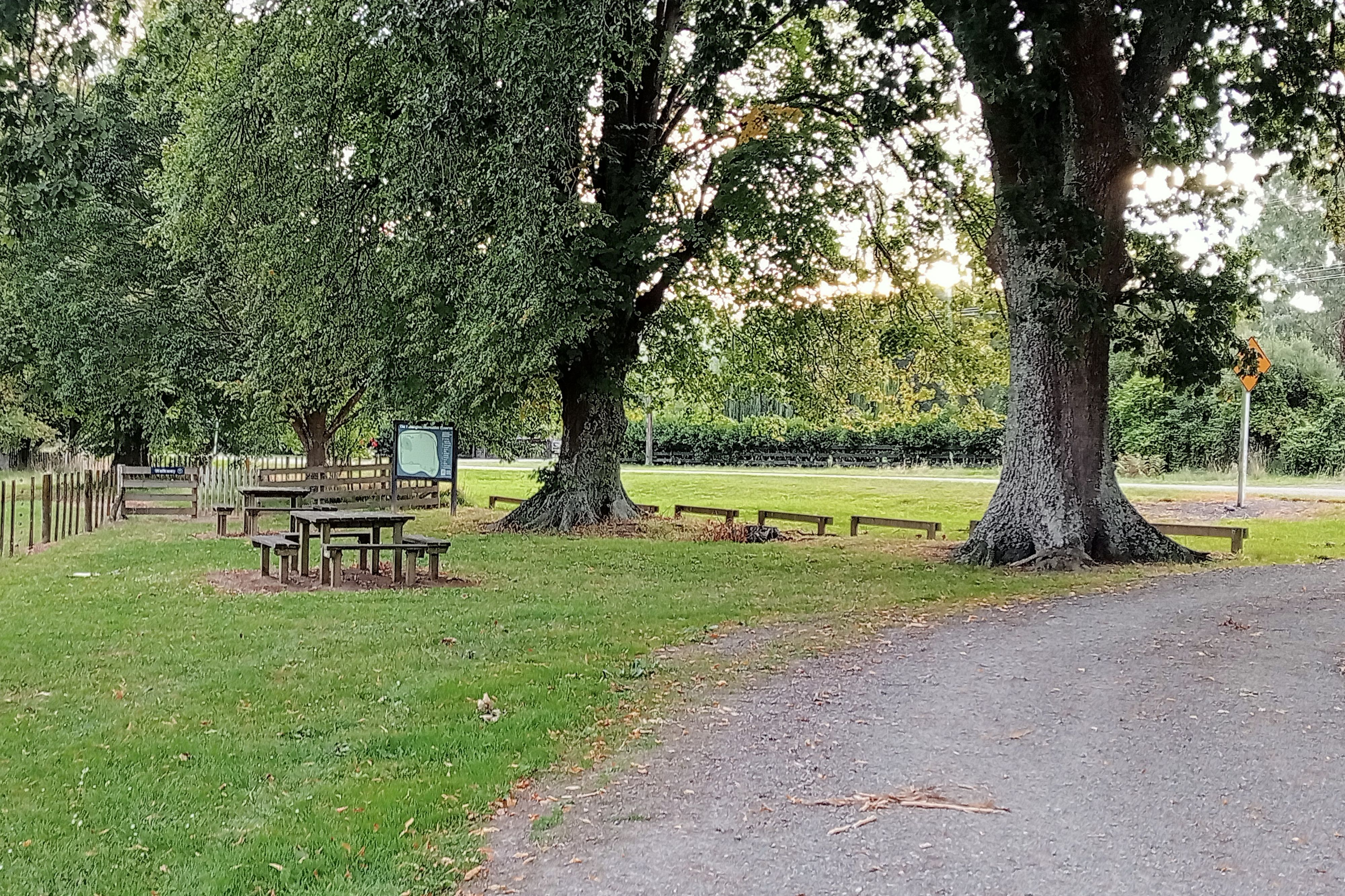 Pohangina Recreational Reserve (The Domain)