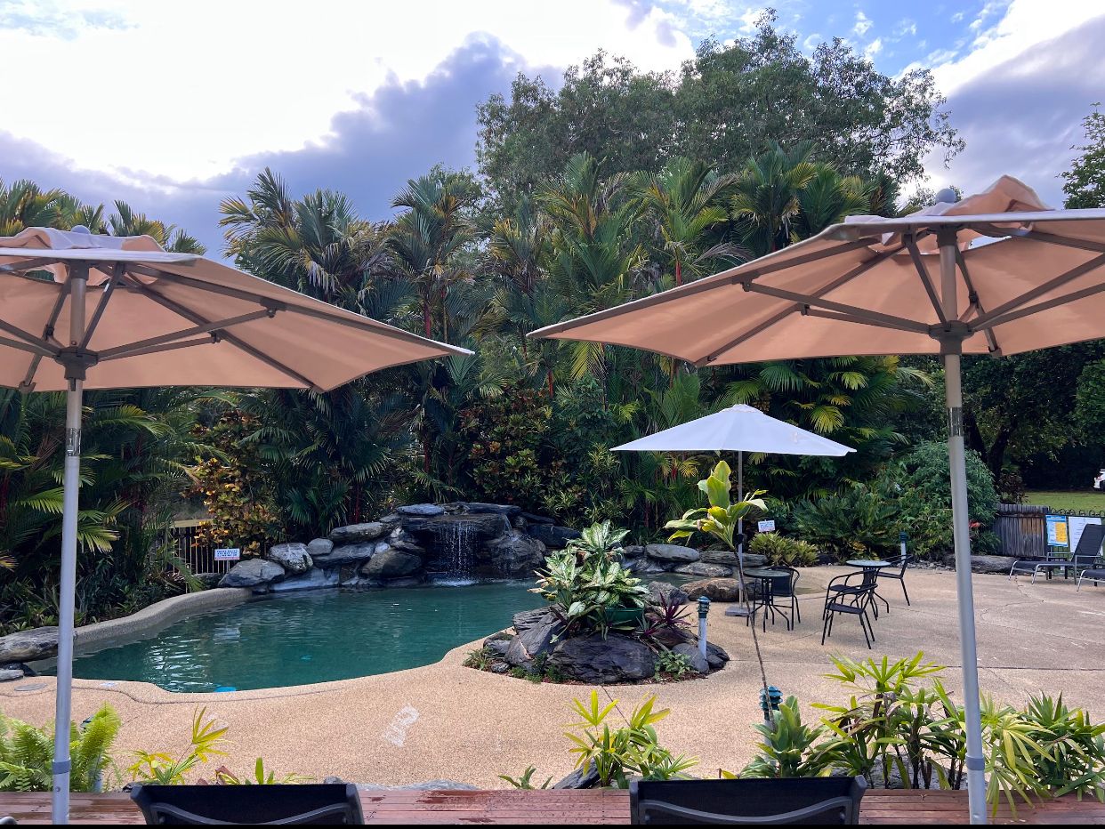Activiteiten in de omgeving van Daintree Beach Resort - Image 3