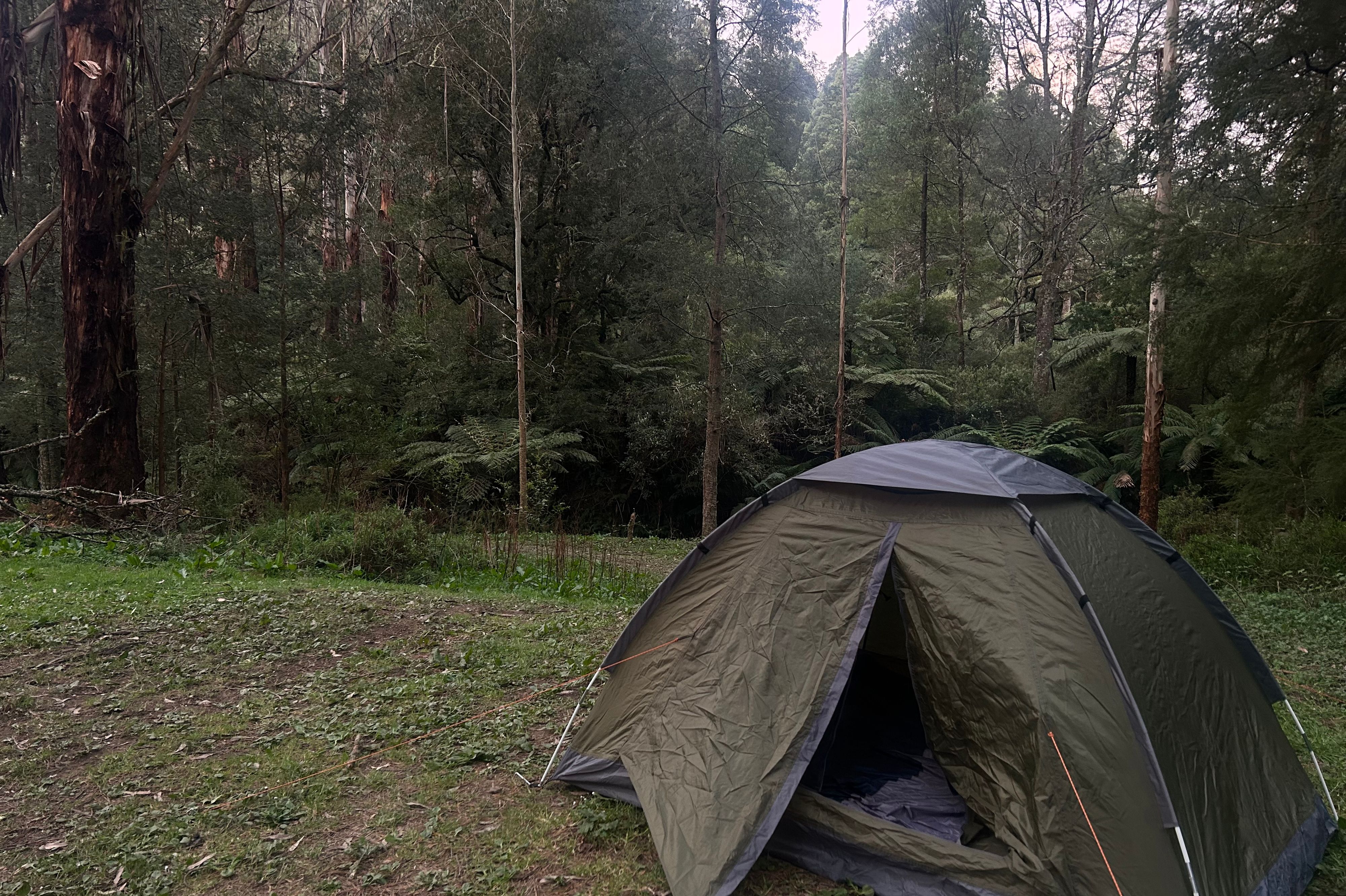 Reserva de Dingo Creek - Image 3