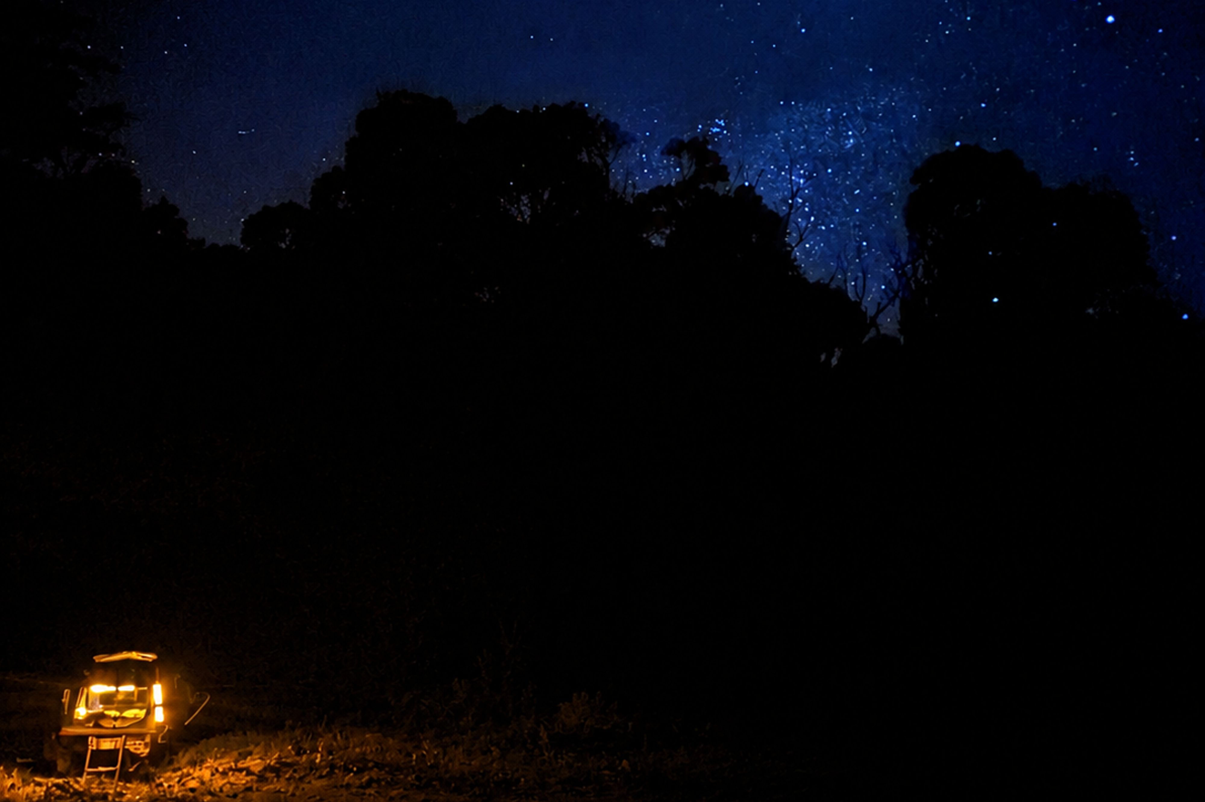 El campamento verde de Boltons - Image 2