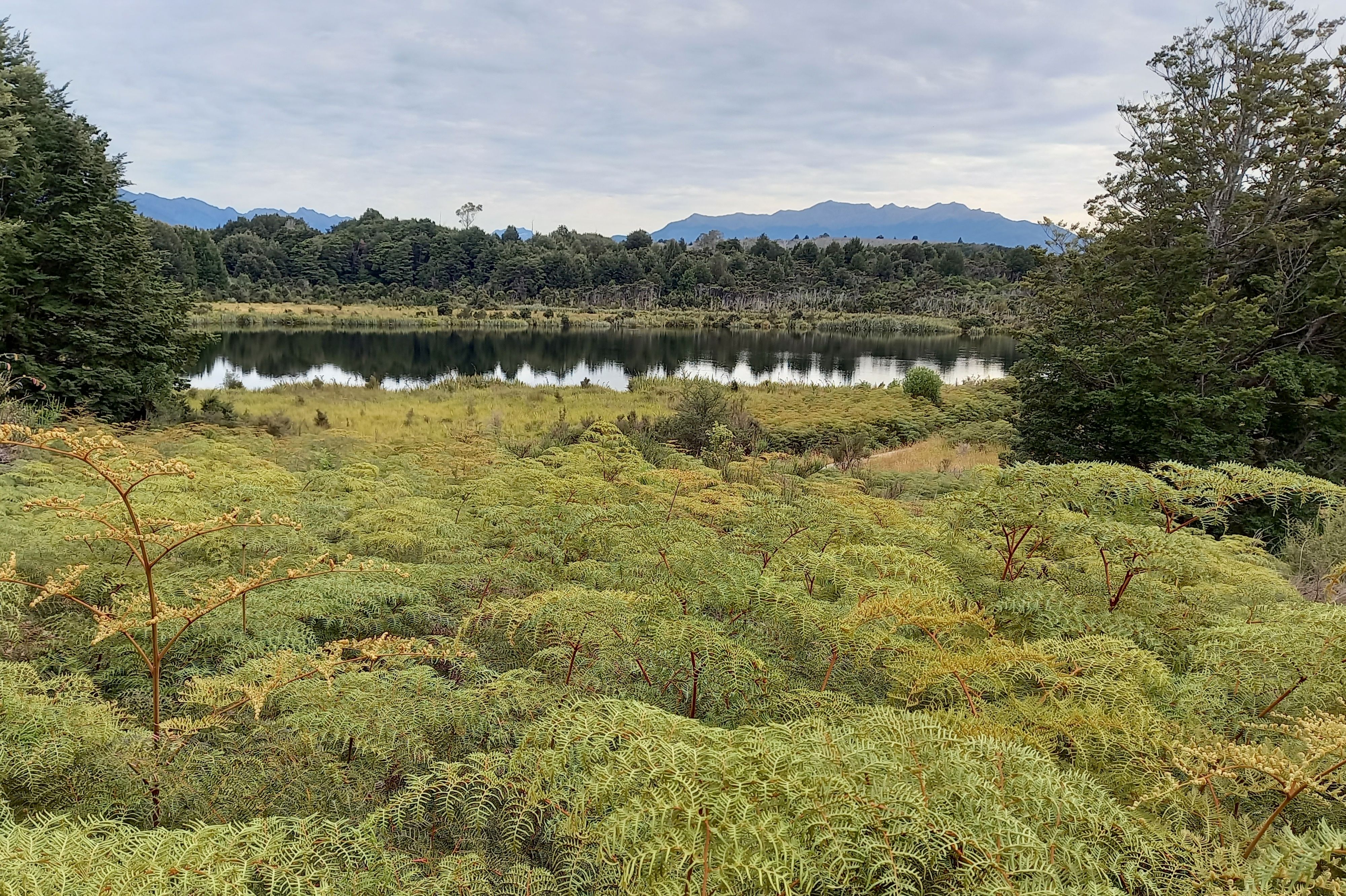 Lake Mistletoe Walk - Image 3