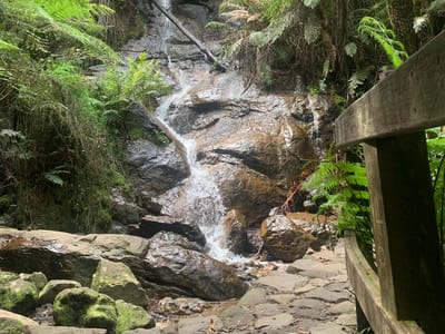 La la falls