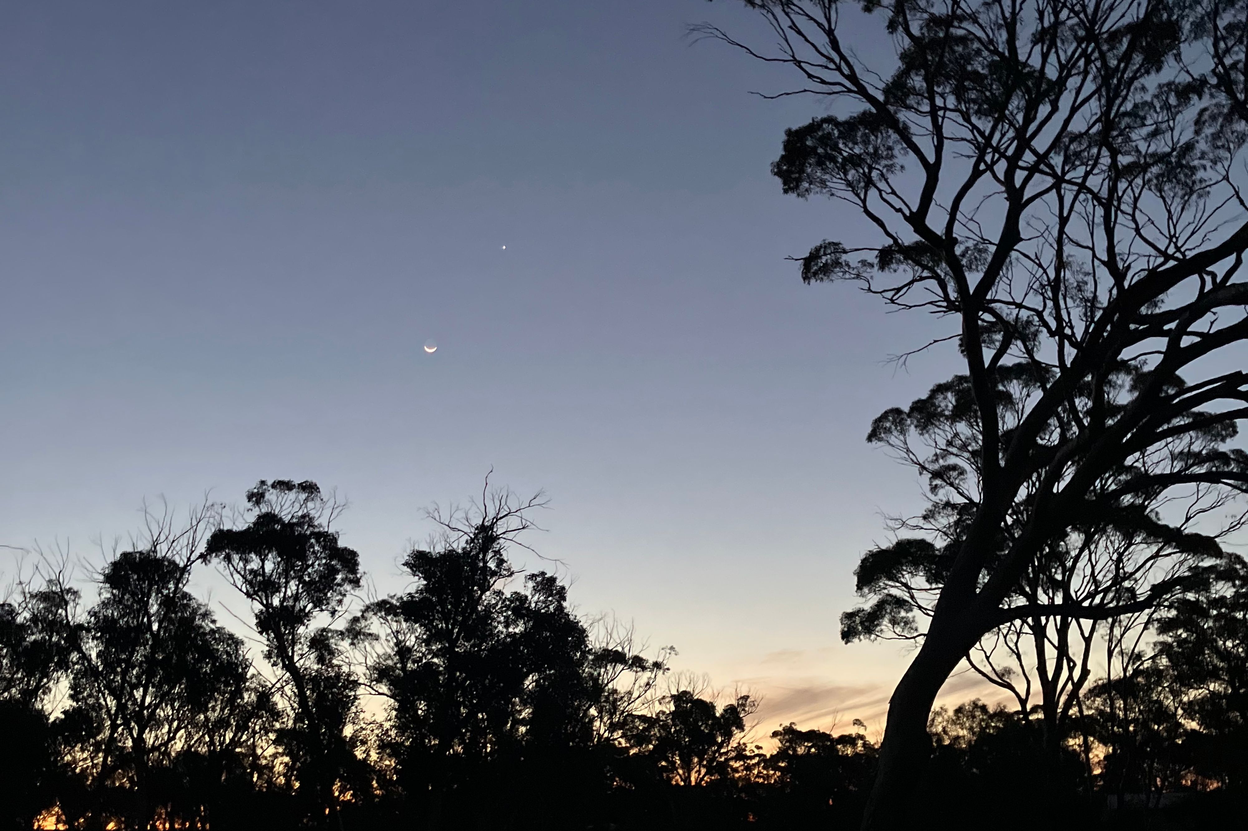 Koorarawalyee Rest Area, Boorabbin - Image 3