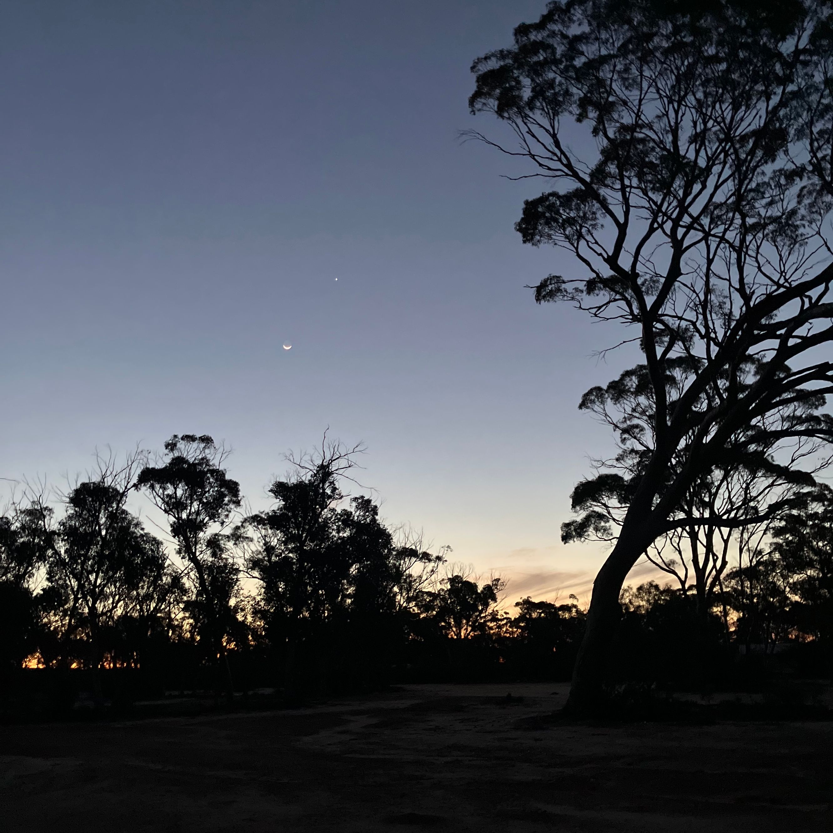 Koorarawalyee Rest Area, Boorabbin - Image 3