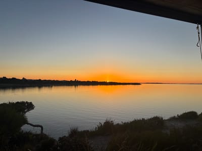 Aktivitäten in der Nähe von Ledge Coffin Bay