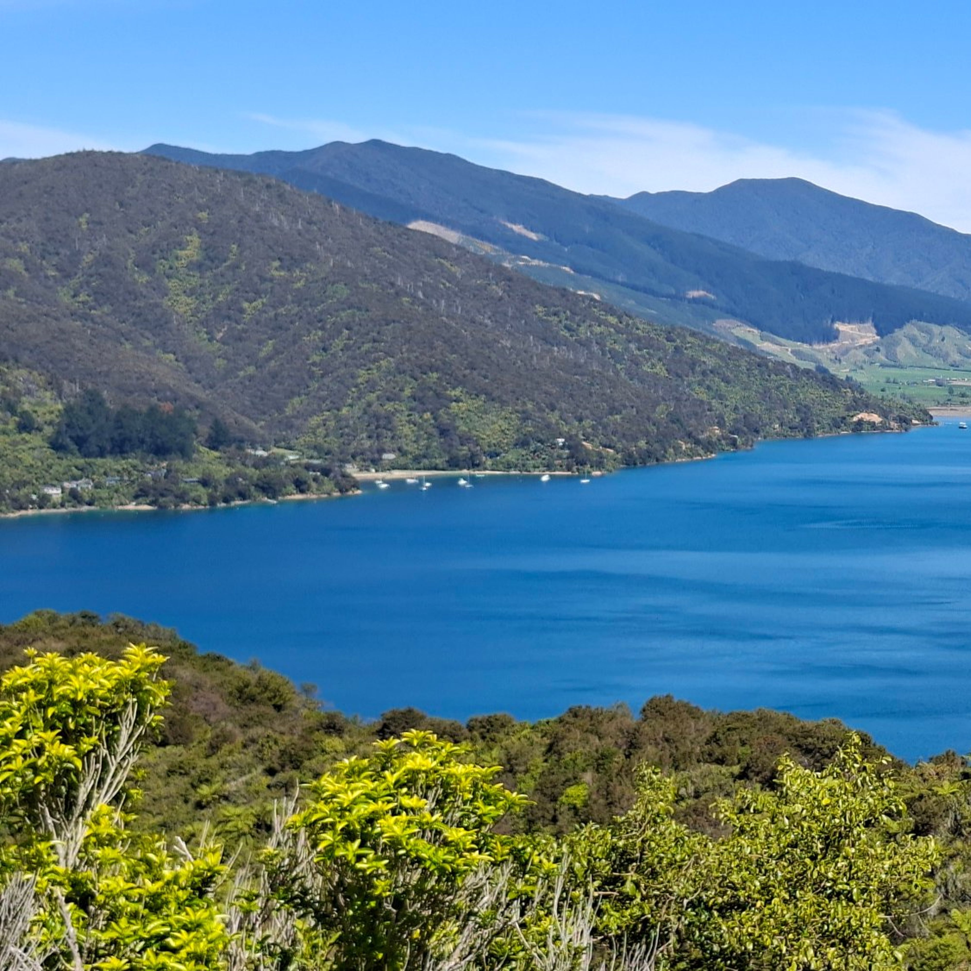 Reisefoto von Mistletoe Bay Eco Village
