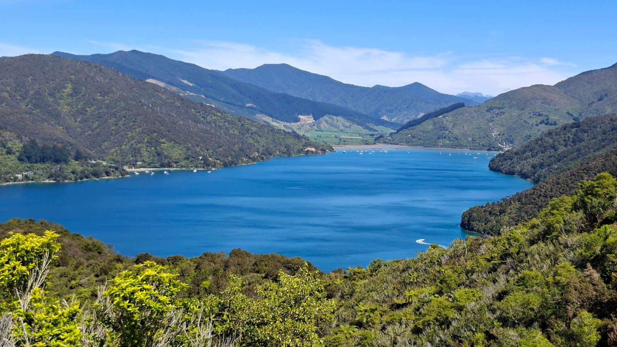 Traveller photo of Mistletoe Bay Eco Village