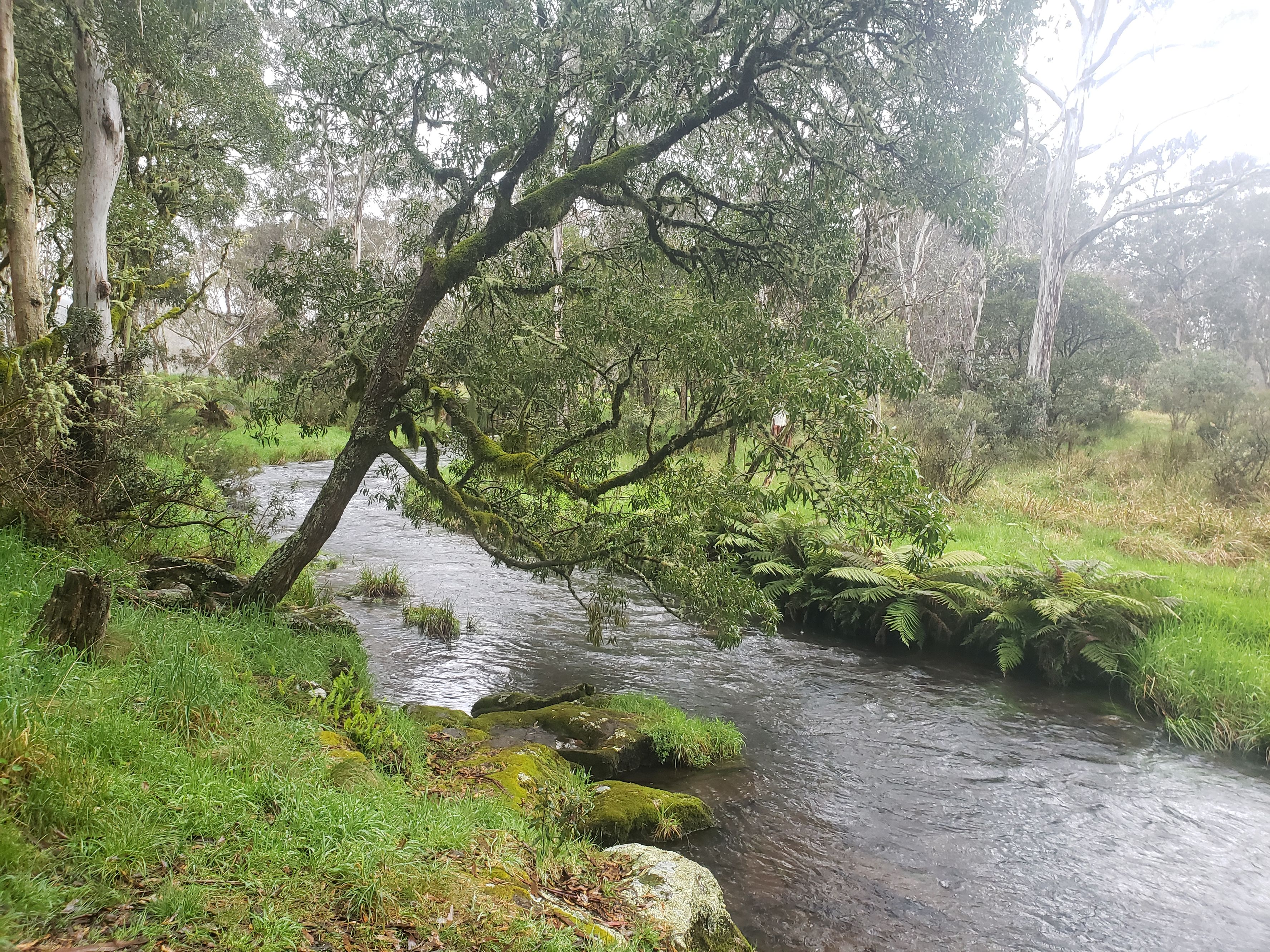 Ubytování Little Styx River - Image 2