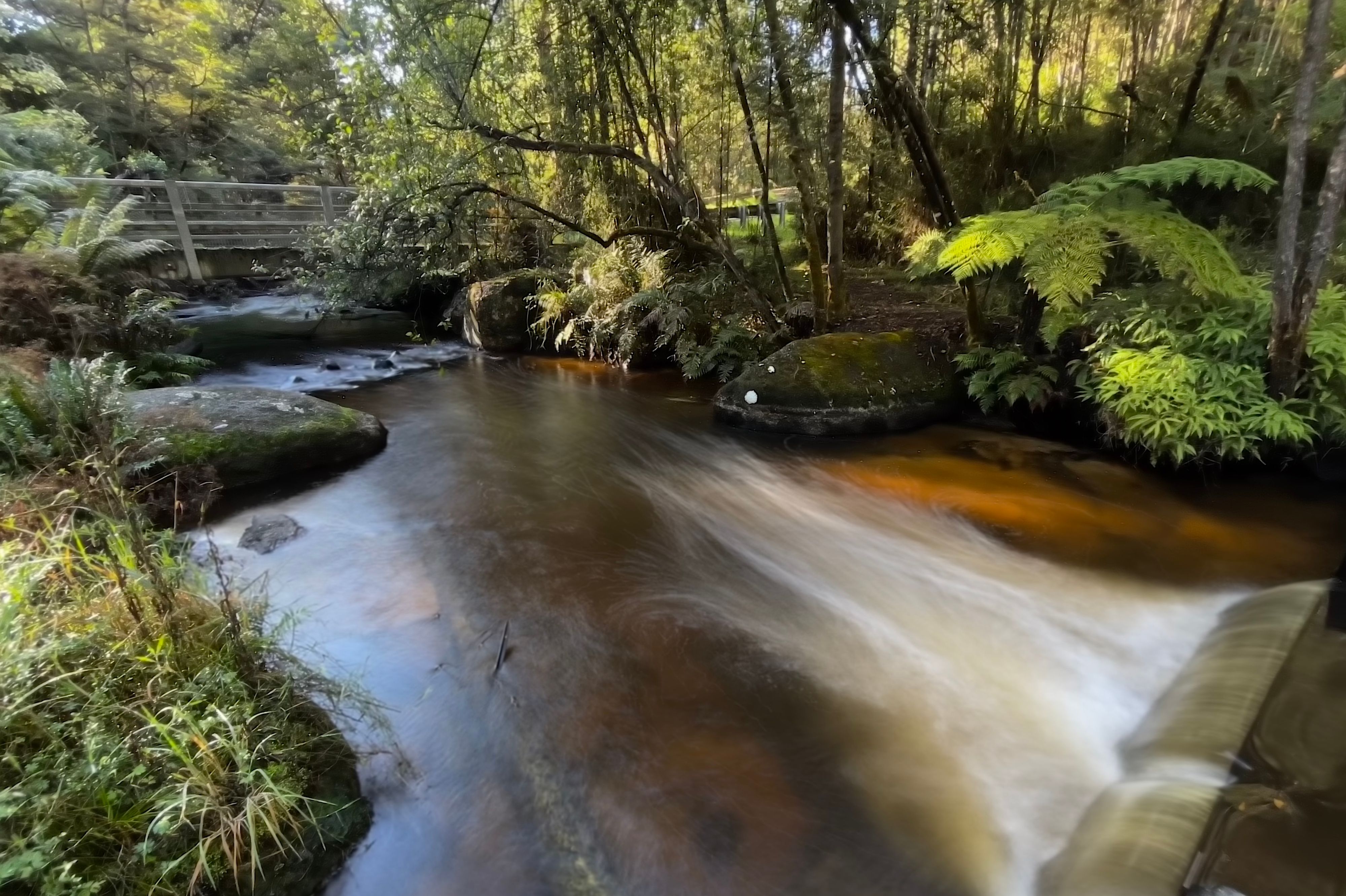 Khu cắm trại Latrobe River - Image 3