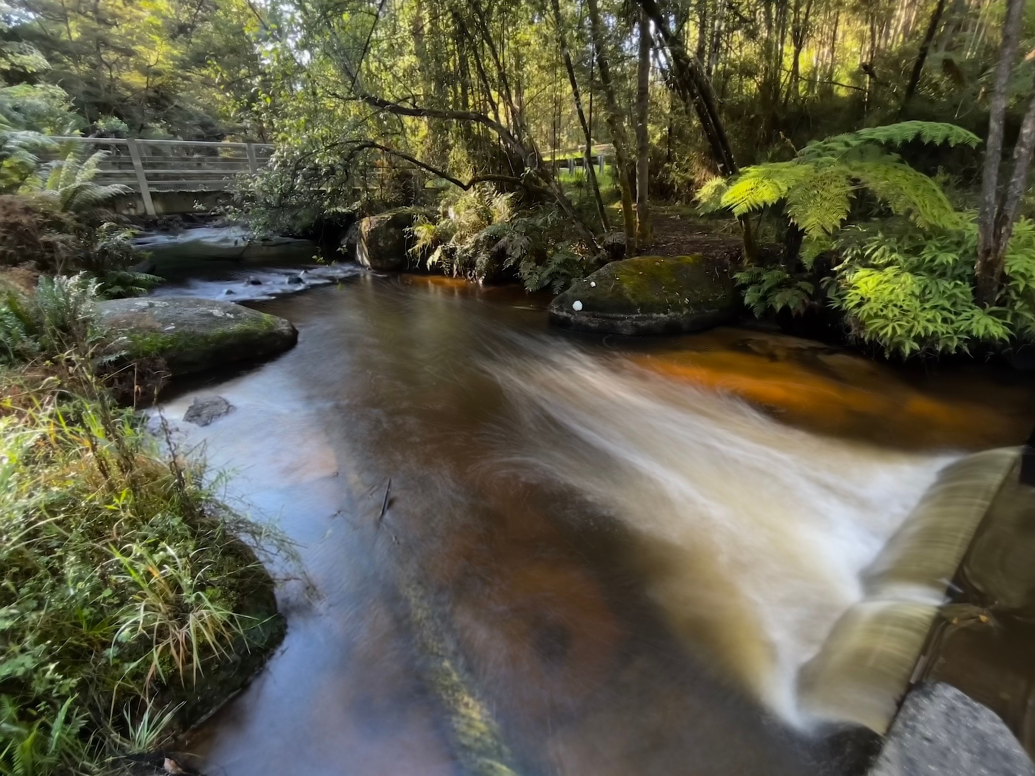 Khu cắm trại Latrobe River - Image 3