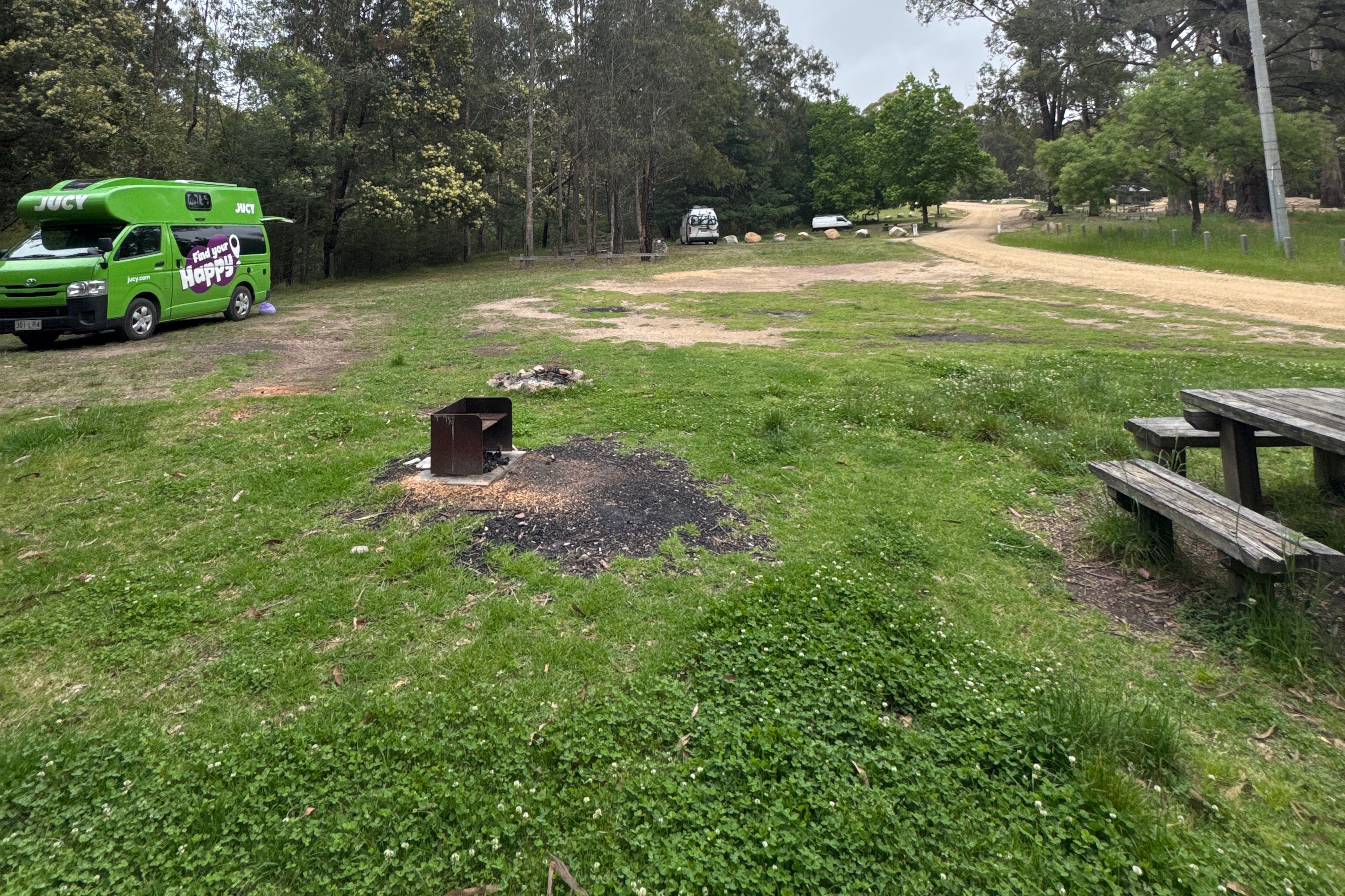Activiteiten in de omgeving van Mount Taylor Campground
