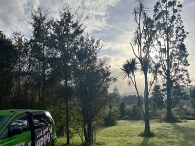 Waipoua Forest Nature Park 