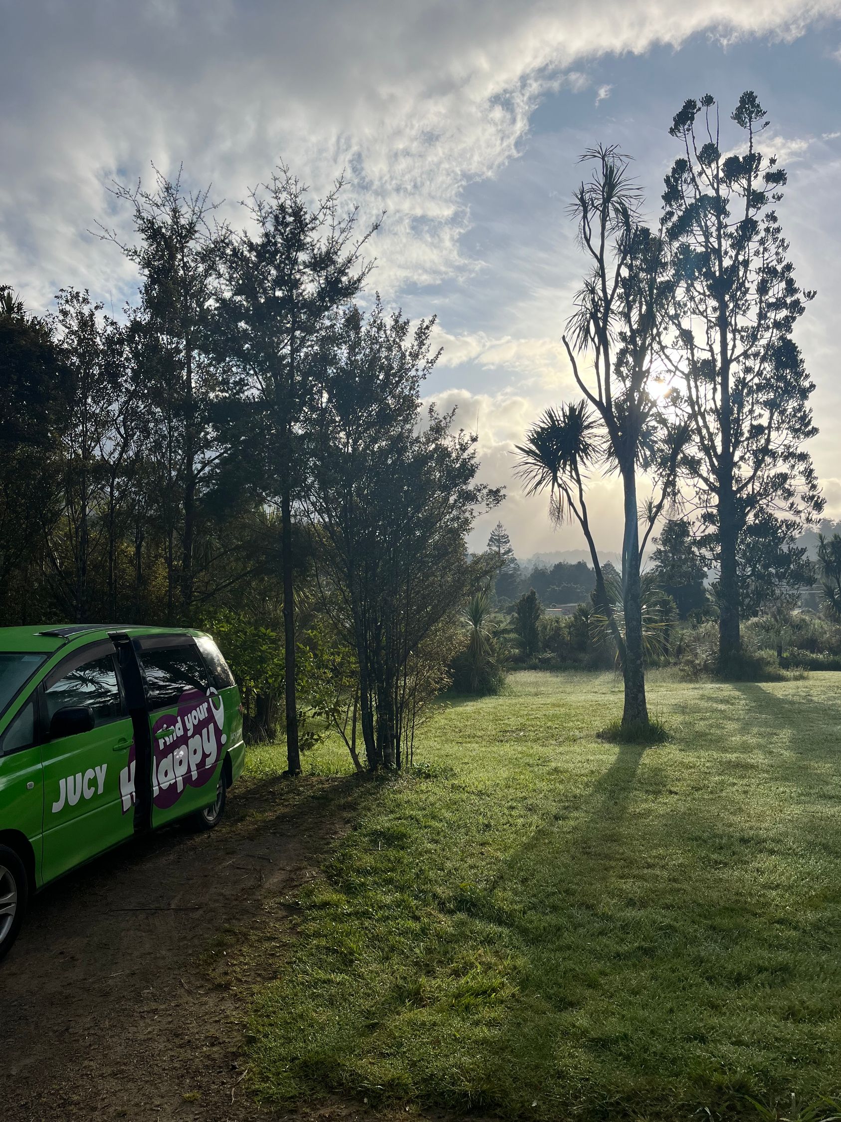 Waipoua Forest Nature Park 