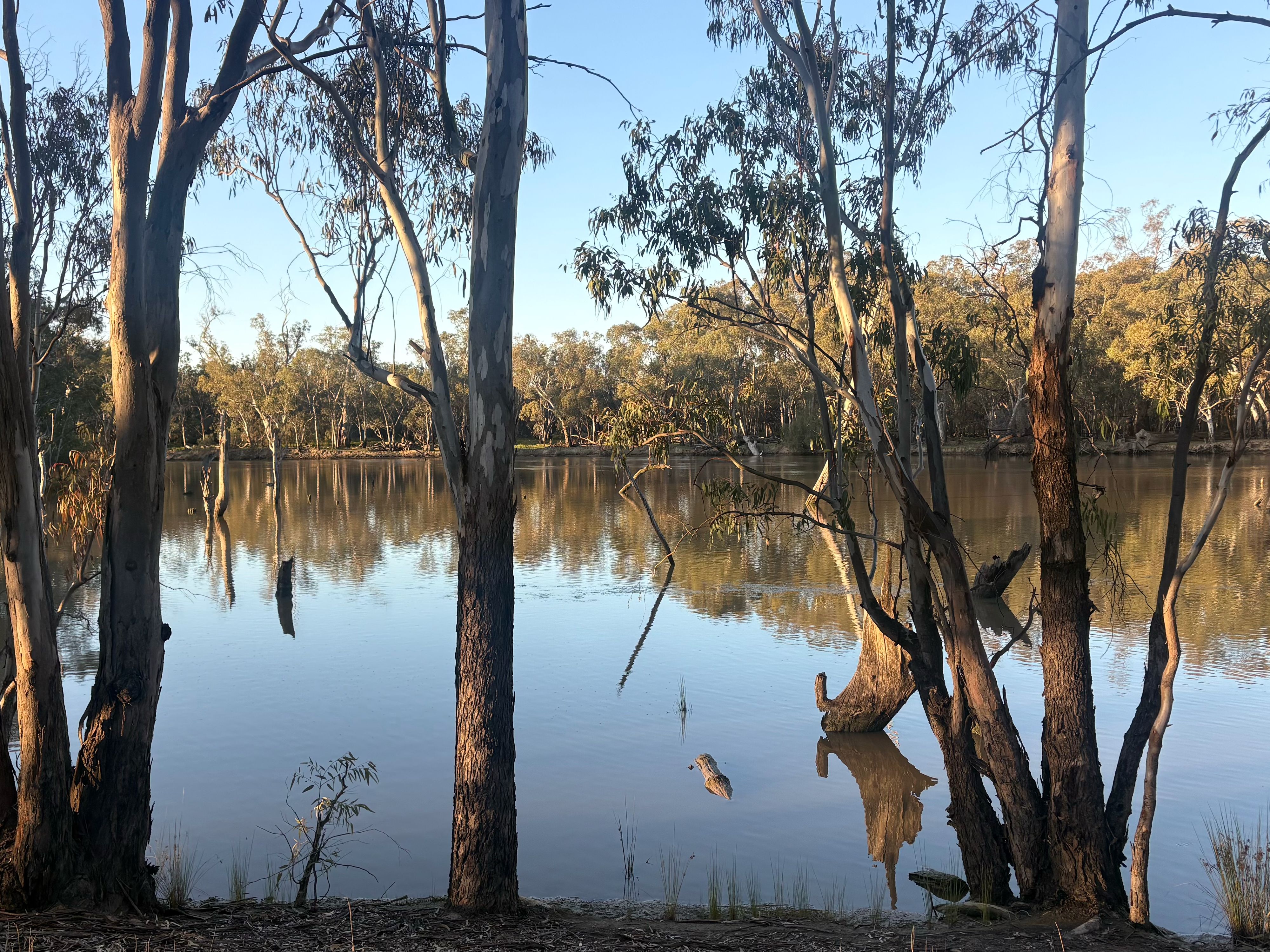 Foto viaggiatore di Wooloondool Campground