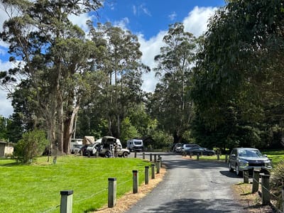 Lilydale Falls