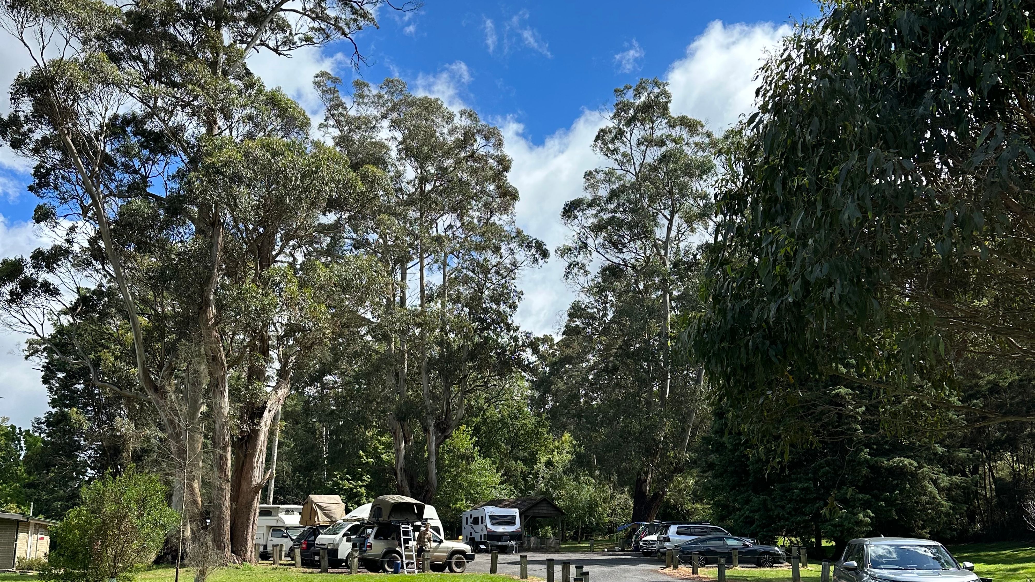 De Lilydale Falls
