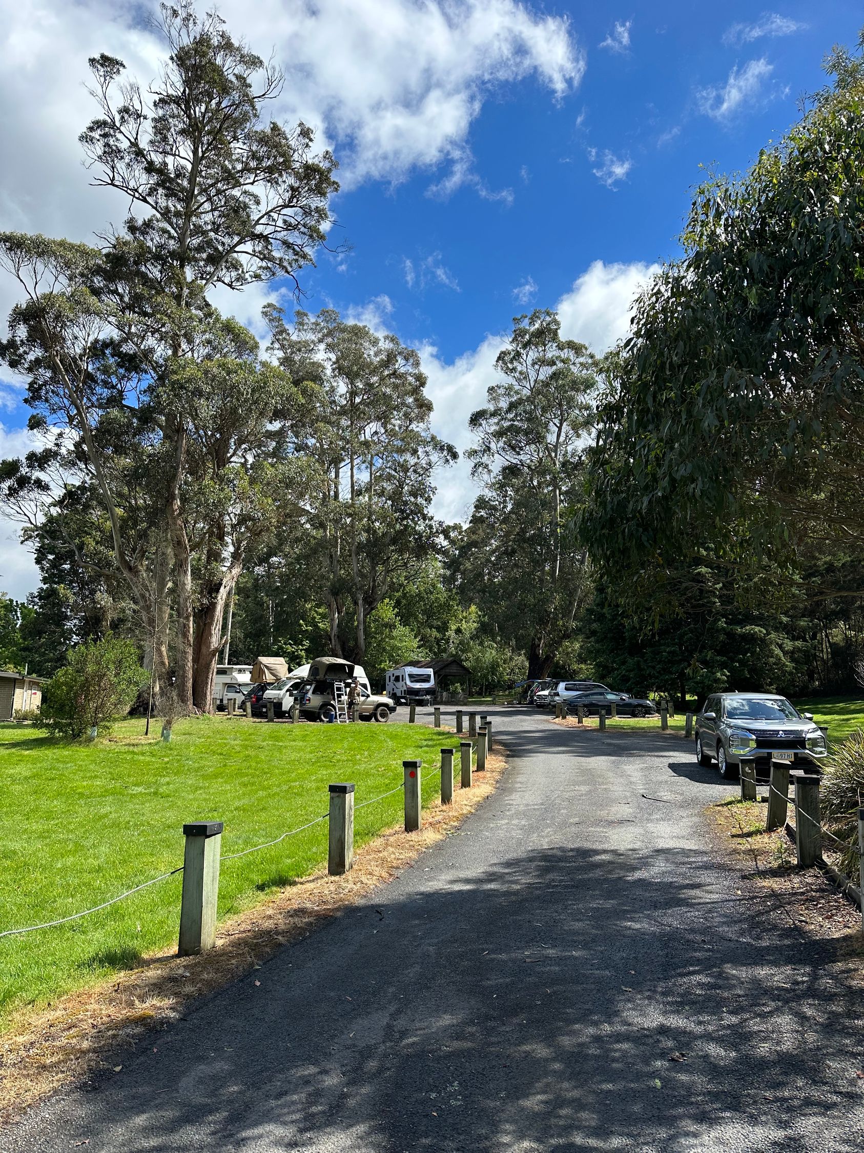 Lilydale Falls