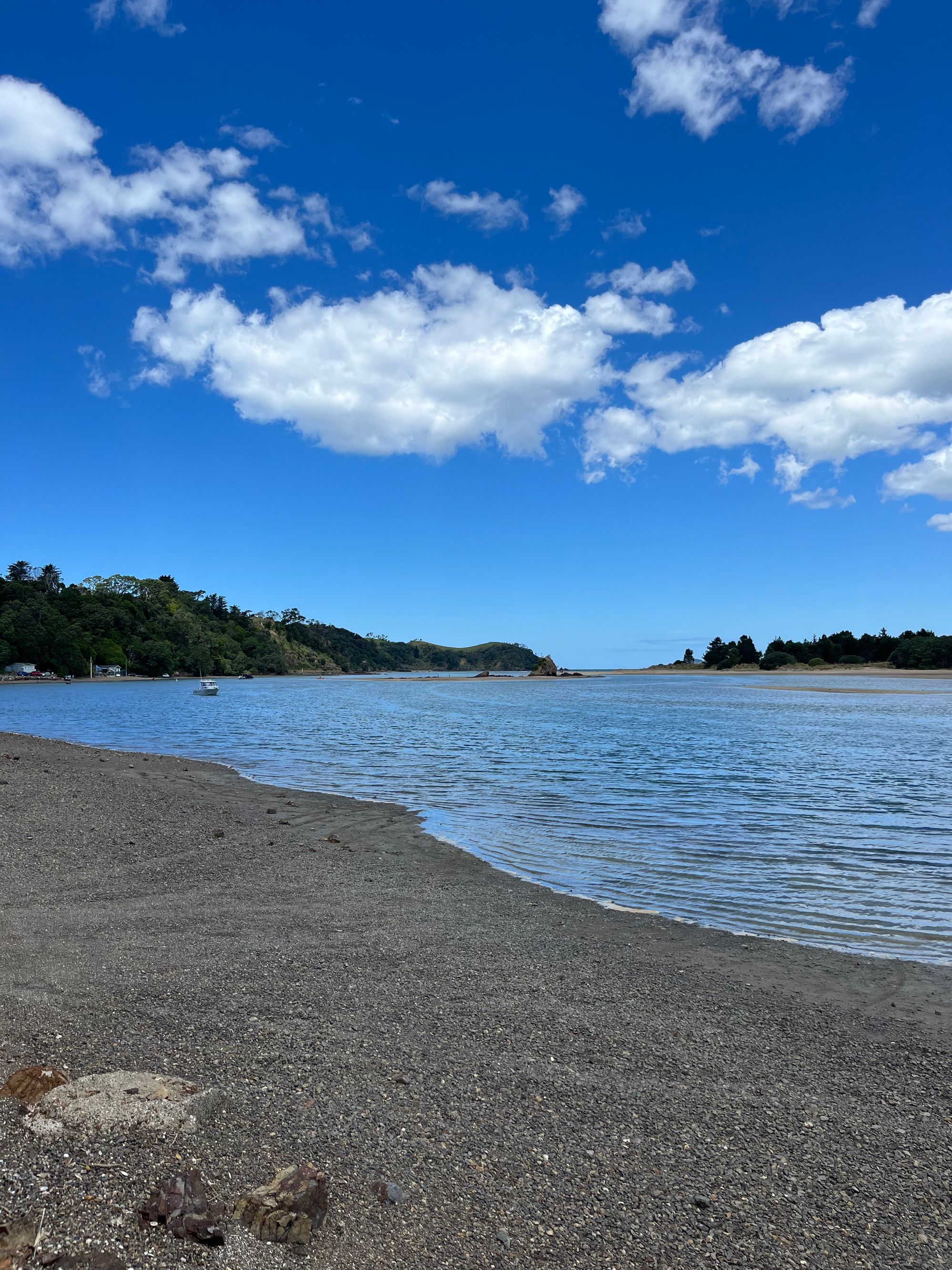 Whananaaki Nord - Image 3